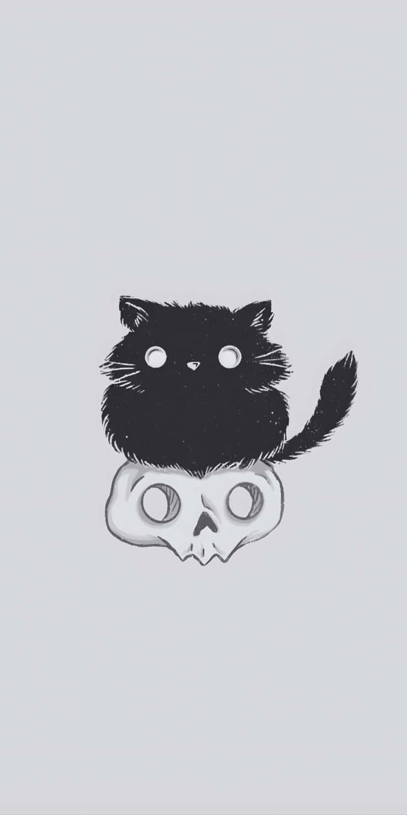 Boox Palma, dark mode, fluffy black cat, HD Phone Wallpaper