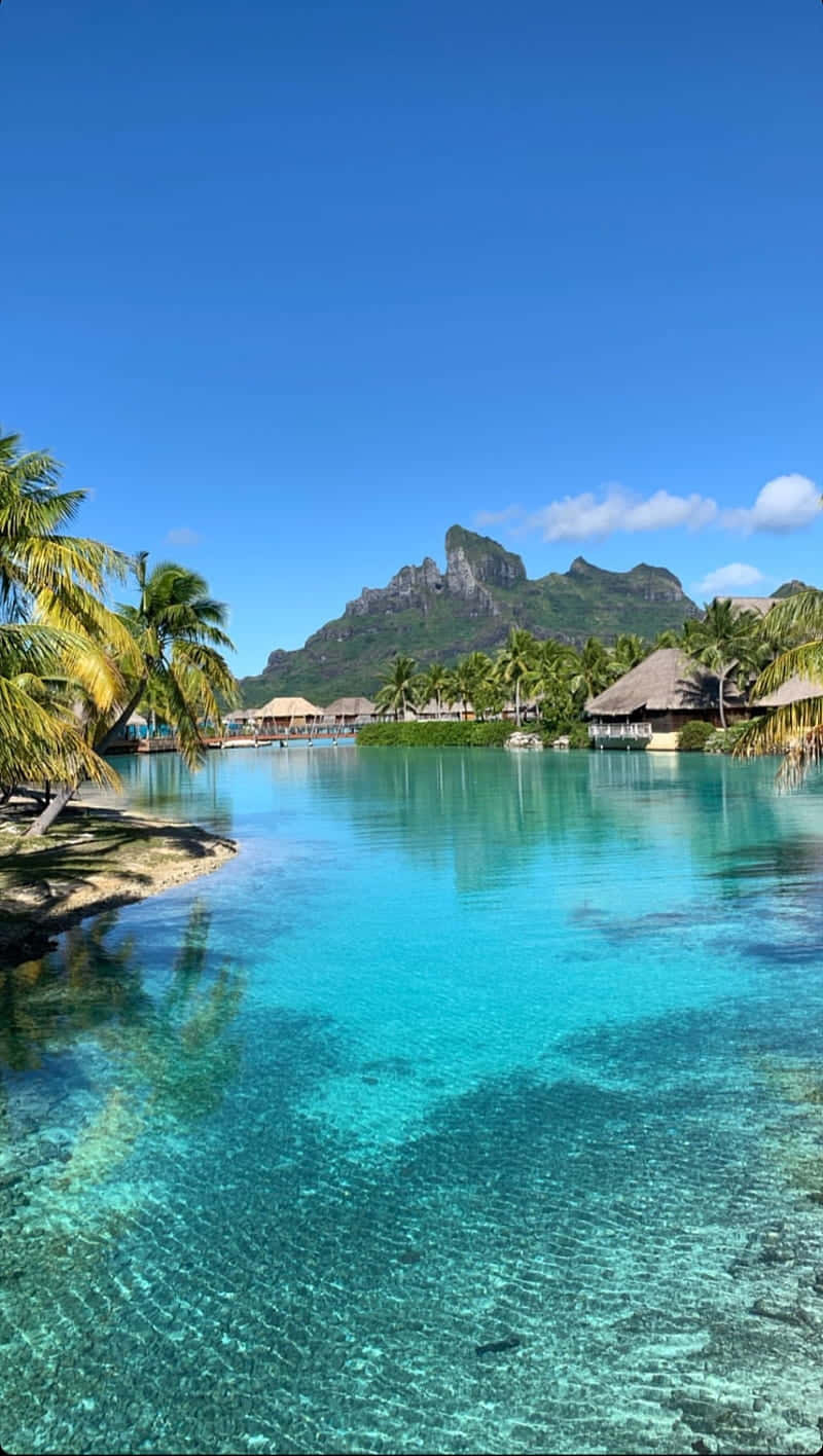 Bora Bora, turquoise lagoon, palm-fringed resort bungalows, HD Phone Wallpaper