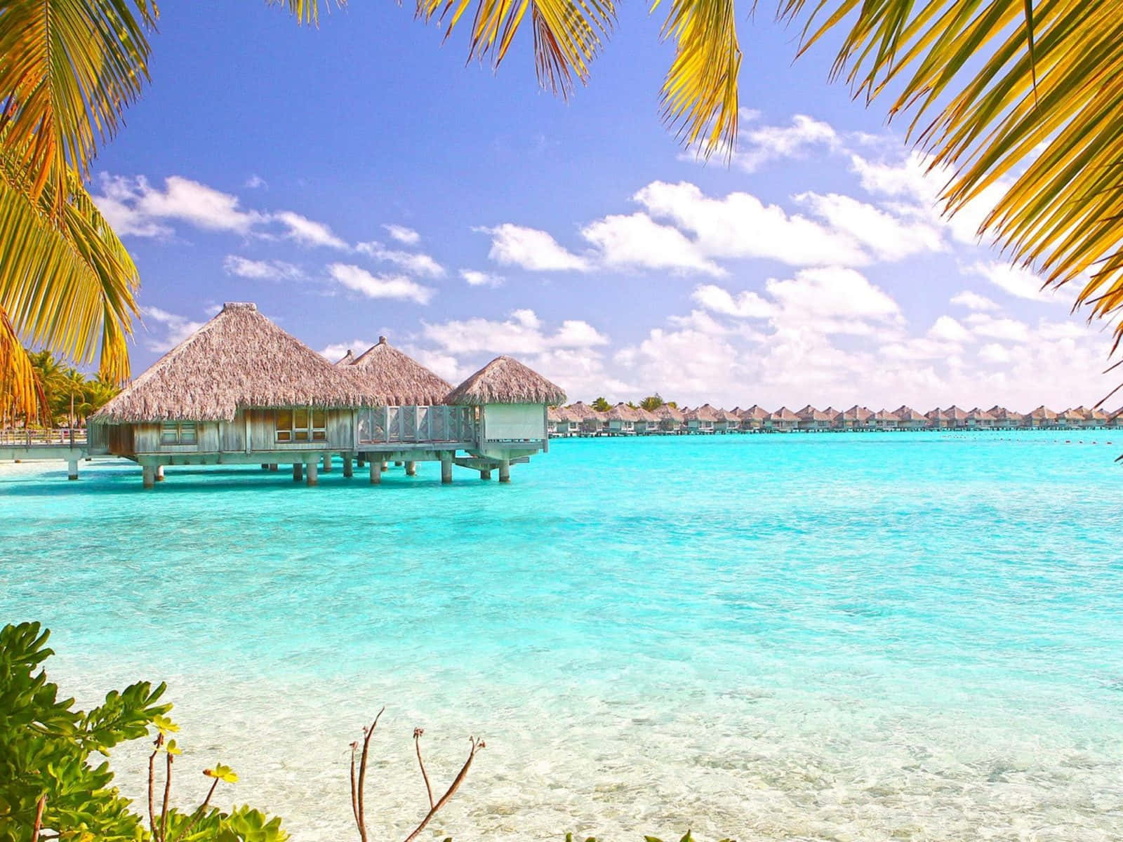 Bora Bora, overwater bungalows, thatched roofs, HD Desktop Wallpaper