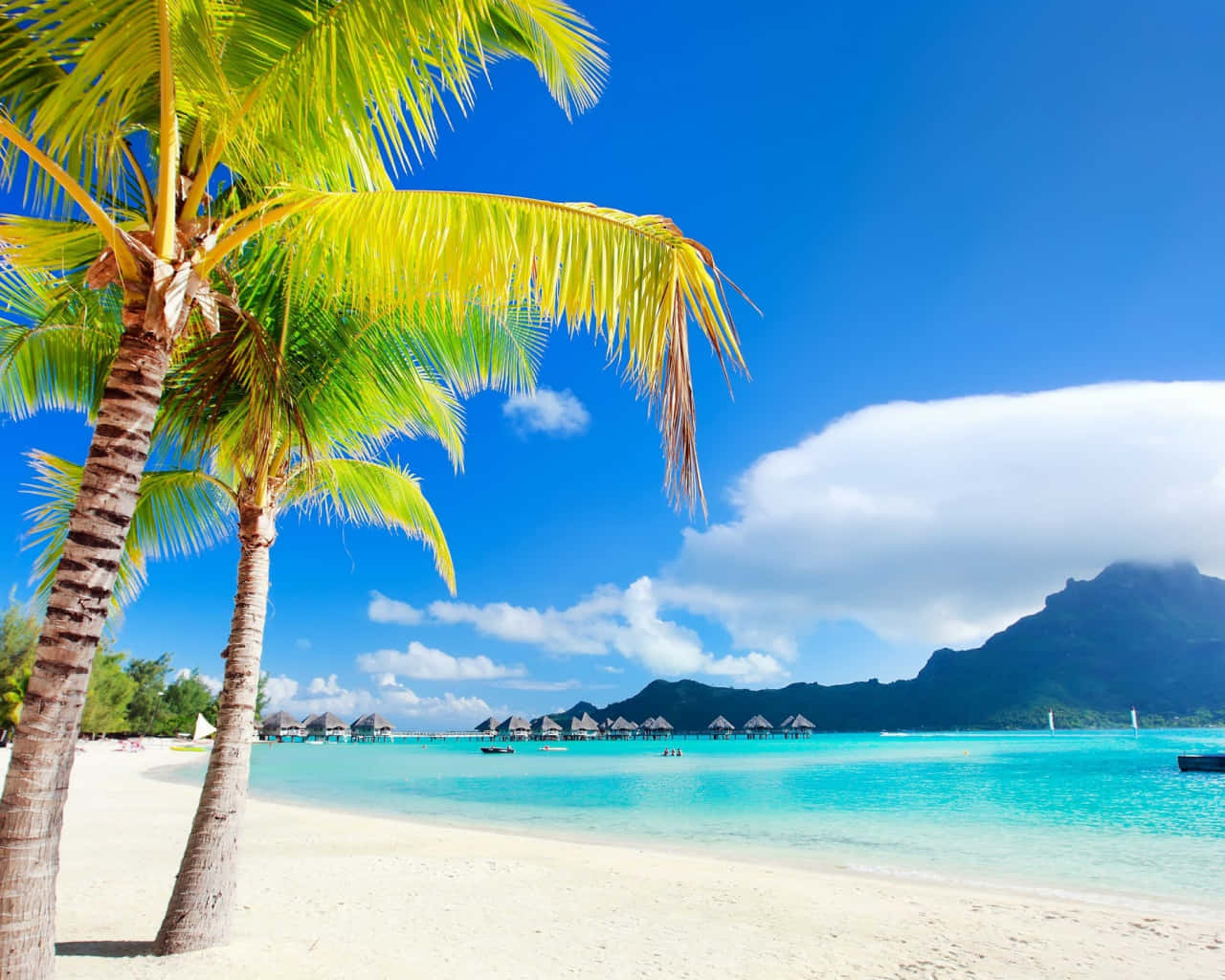 Bora Bora, turquoise lagoon, overwater bungalows, HD Desktop Wallpaper