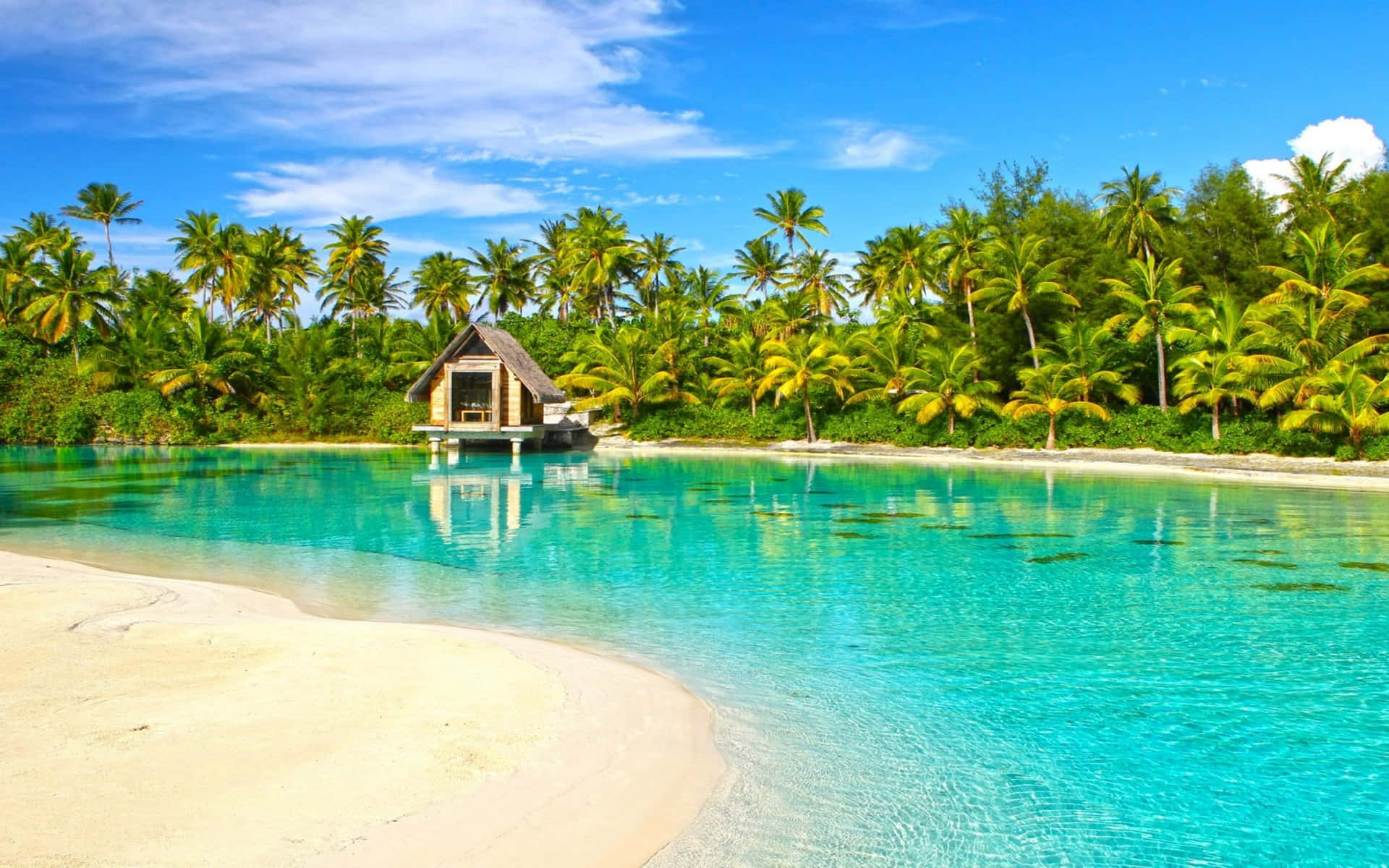 Bora Bora, wooden overwater bungalow, turquoise waters, Full HD Desktop Wallpaper