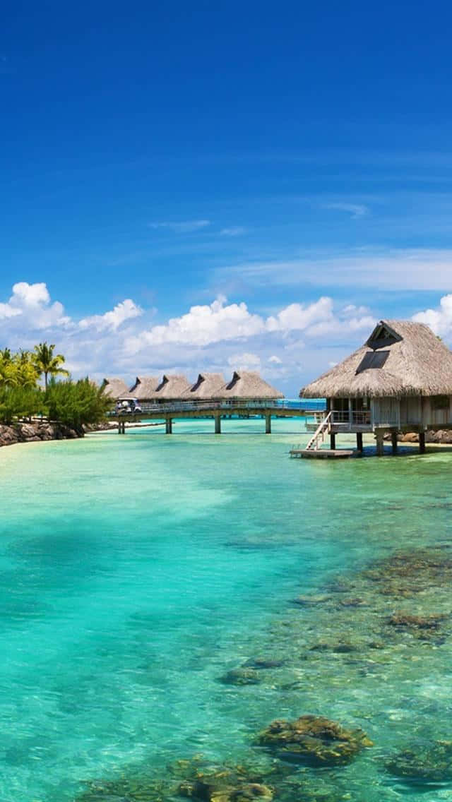 Bora Bora, overwater bungalows, thatched roofs, SD Phone Wallpaper