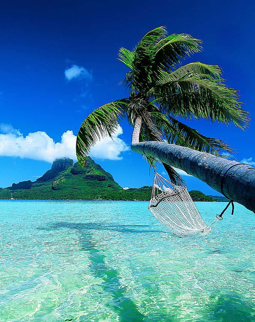Bora Bora, turquoise water, lush green island, SD Phone Wallpaper