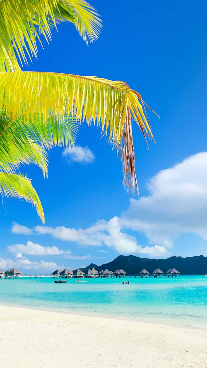 Bora Bora, turquoise waters, white sand beach, HD Phone Wallpaper