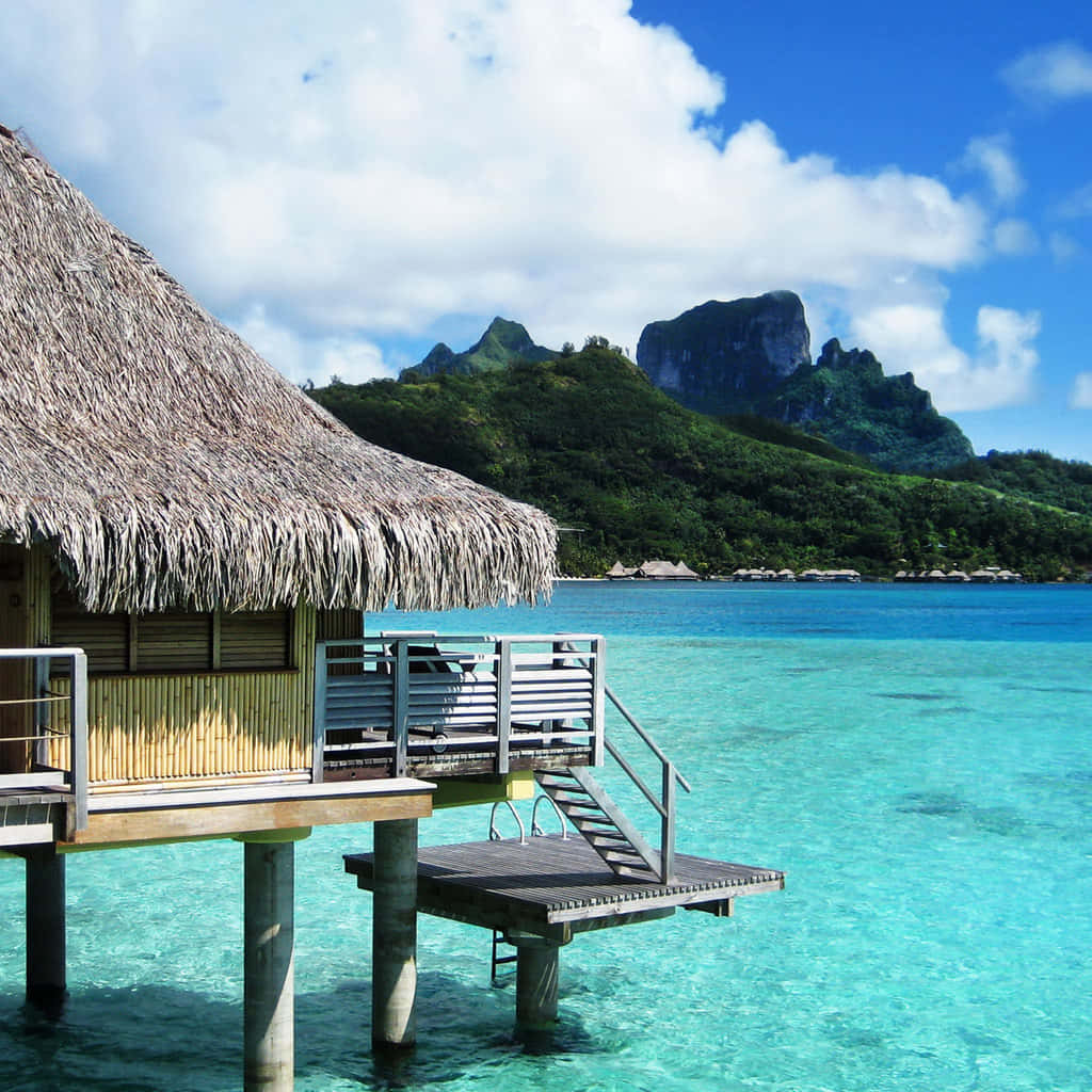 Bora Bora, thatched overwater bungalow, stilts, SD Desktop Wallpaper