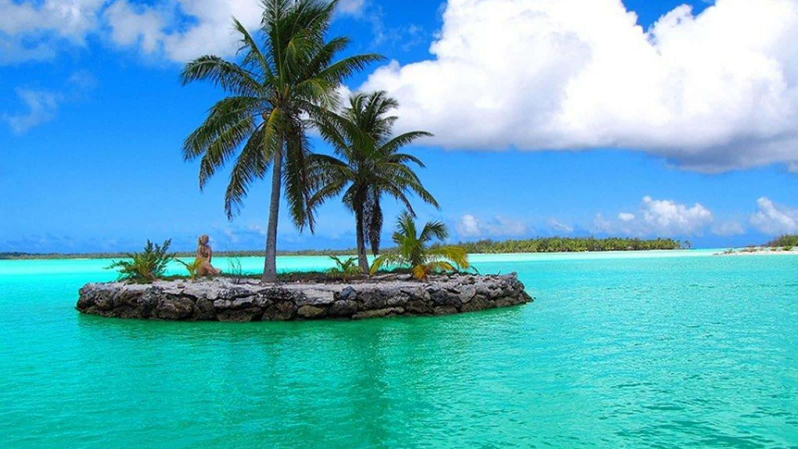 Bora Bora, palm trees, rocky tropical islet, HD Desktop Wallpaper