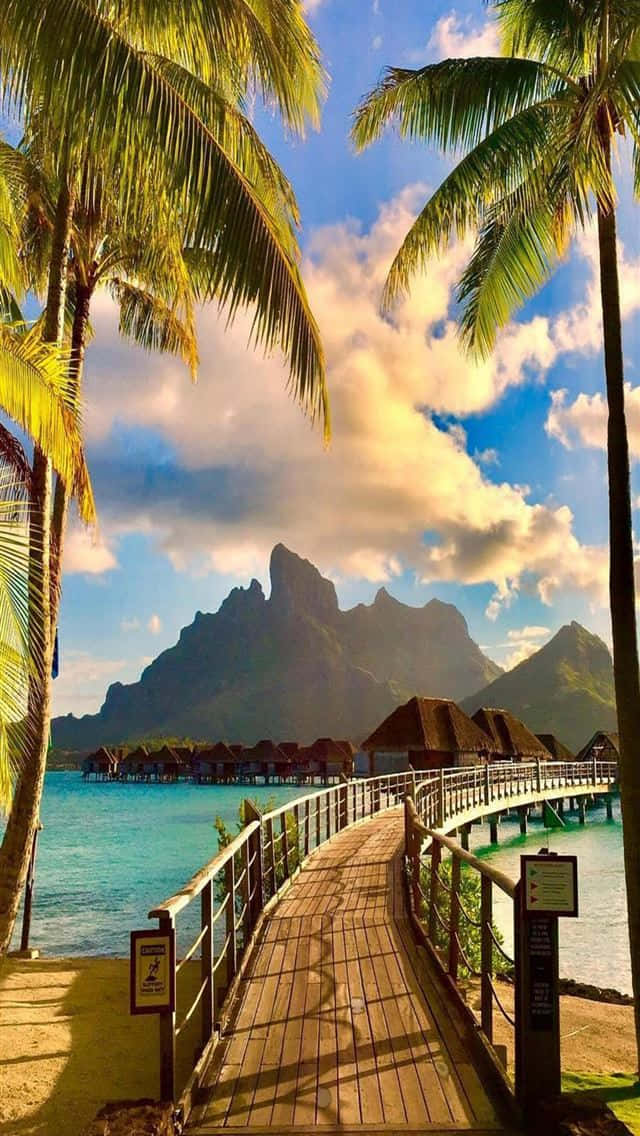 Bora Bora, wooden boardwalk, tropical palms, SD Phone Wallpaper