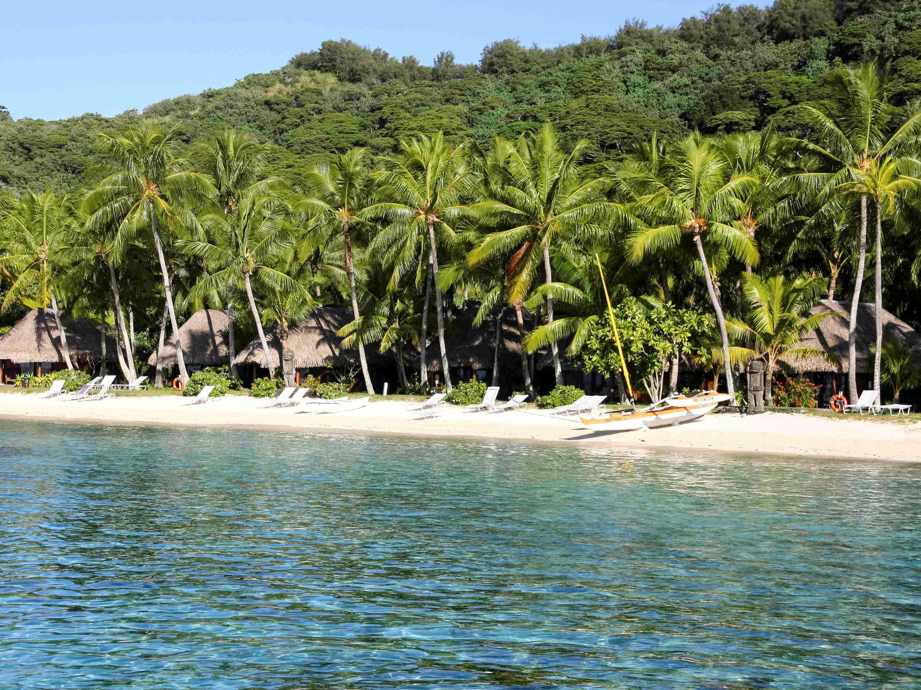 Bora Bora Beach, turquoise water, palm trees, 2K Desktop Wallpaper