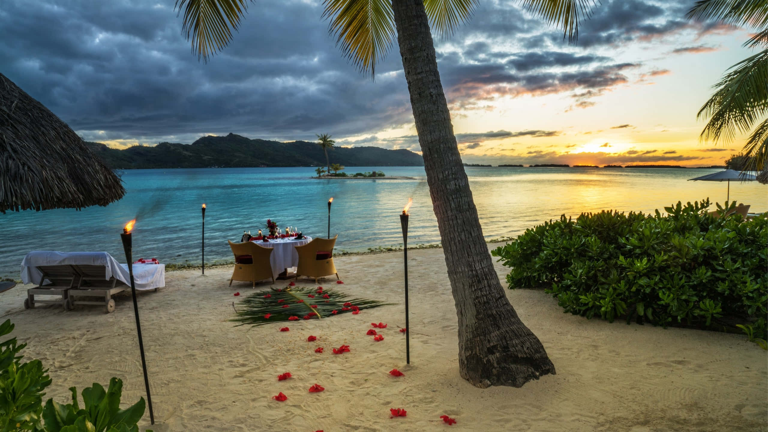 Bora Bora Beach, sunset, palm trees, 2K Desktop Wallpaper