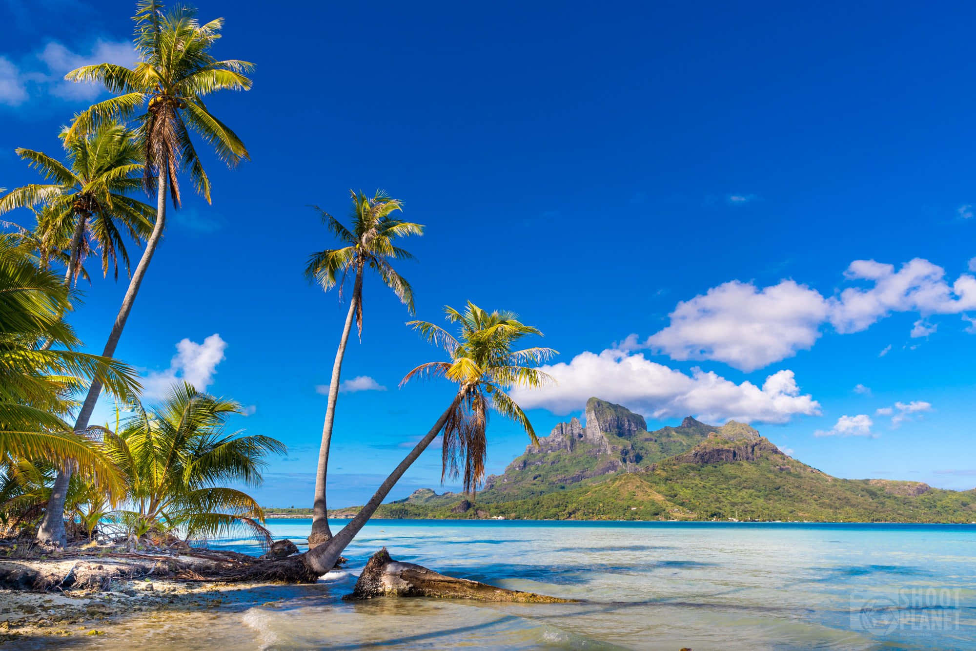 Bora Bora Beach, turquoise waters, lush green mountains, Full HD Desktop Wallpaper