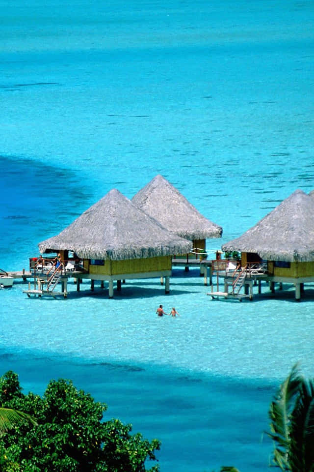 Bora Bora, overwater bungalows, thatched roofs, SD Phone Wallpaper