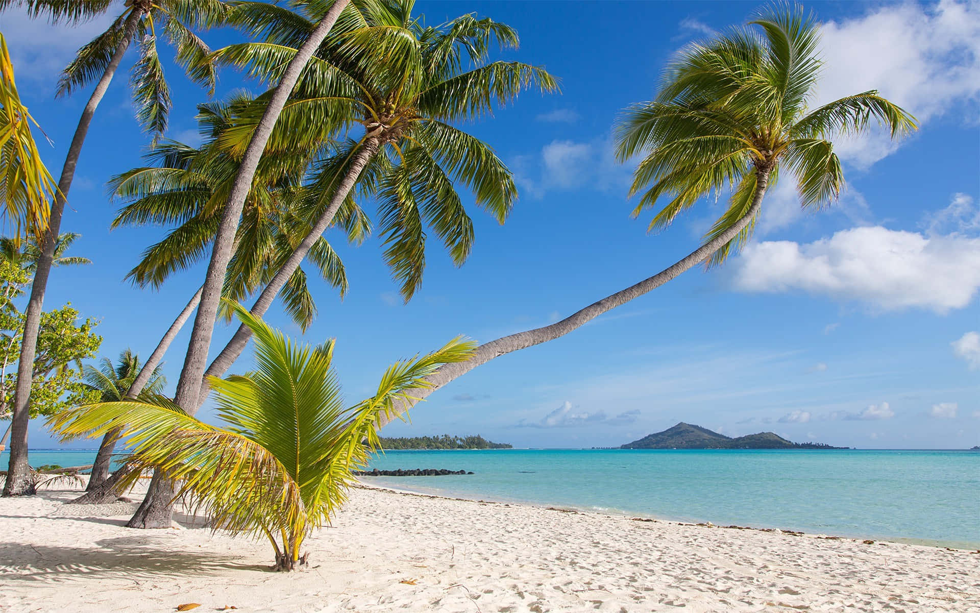 Bora Bora Beach, white sand, palm trees, Full HD Desktop Wallpaper