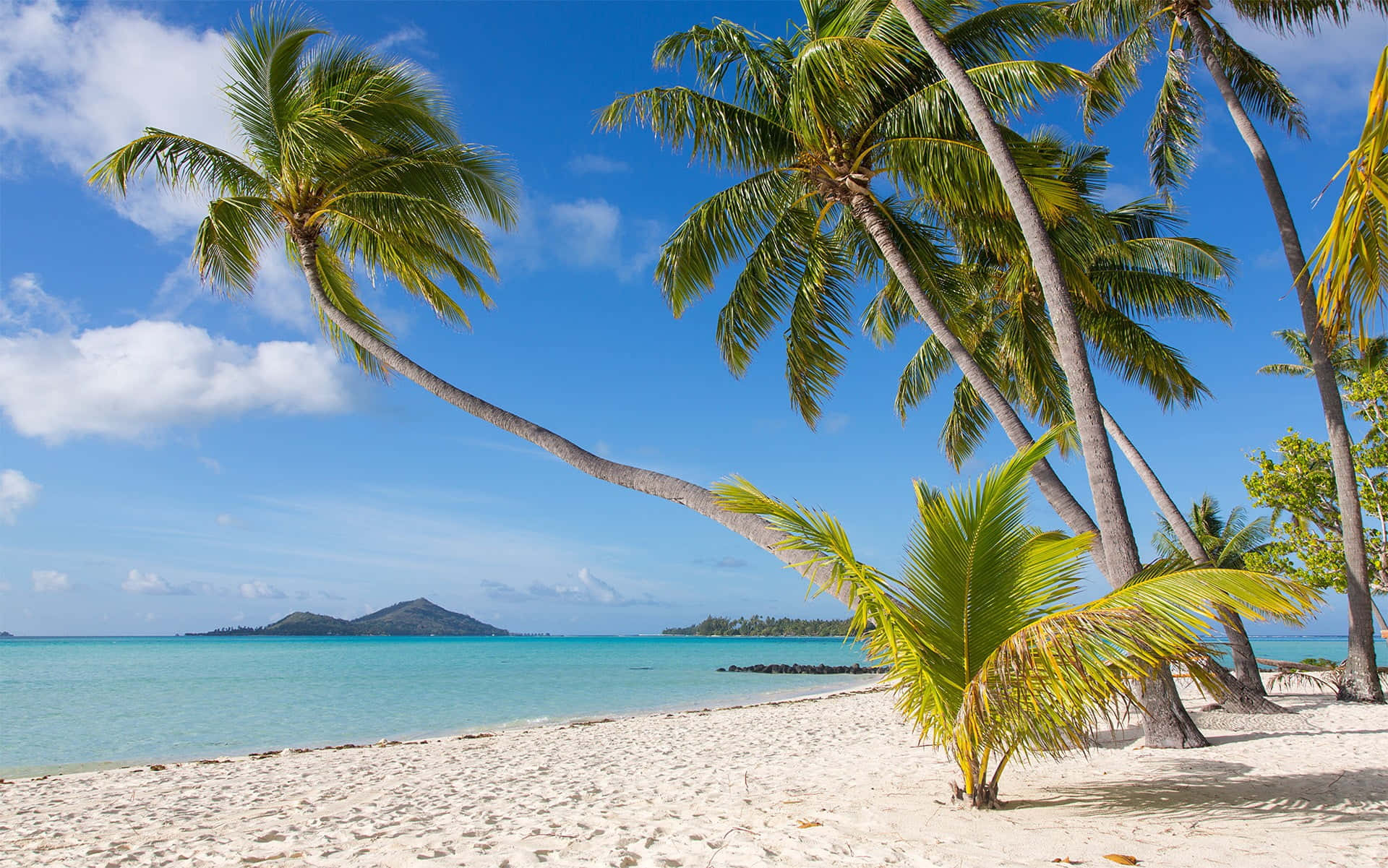 Bora Bora Beach, pristine, white sand, Full HD Desktop Wallpaper