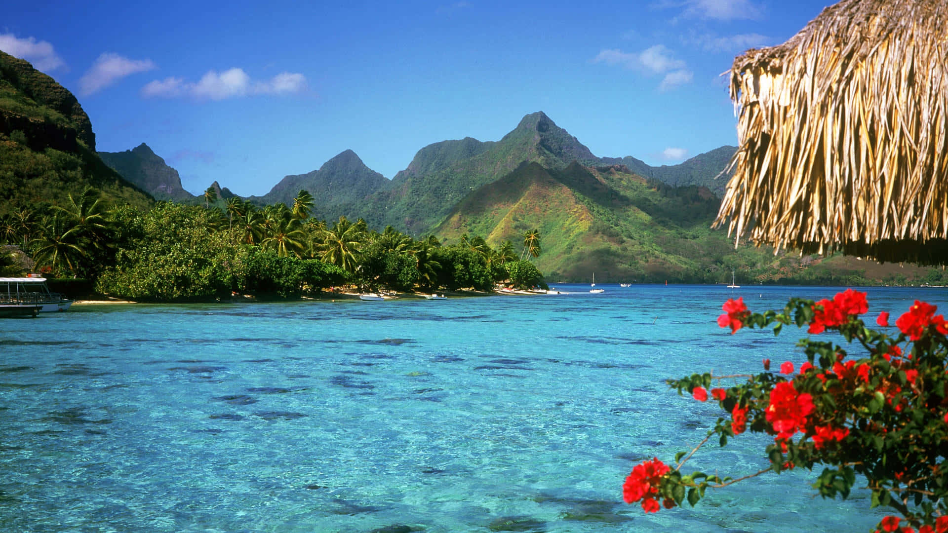 Bora Bora Beach, turquoise lagoon, lush green mountains, Full HD Desktop Wallpaper