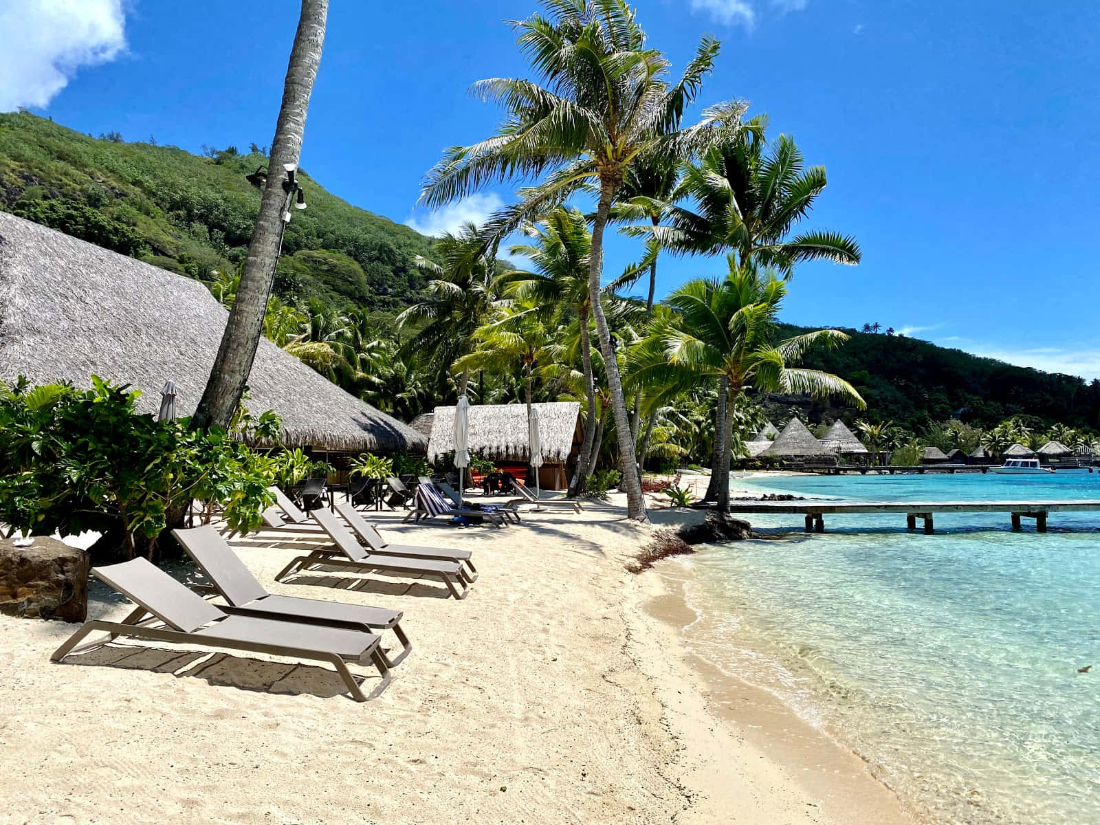 Bora Bora Beach, turquoise water, palm trees, HD Desktop Wallpaper