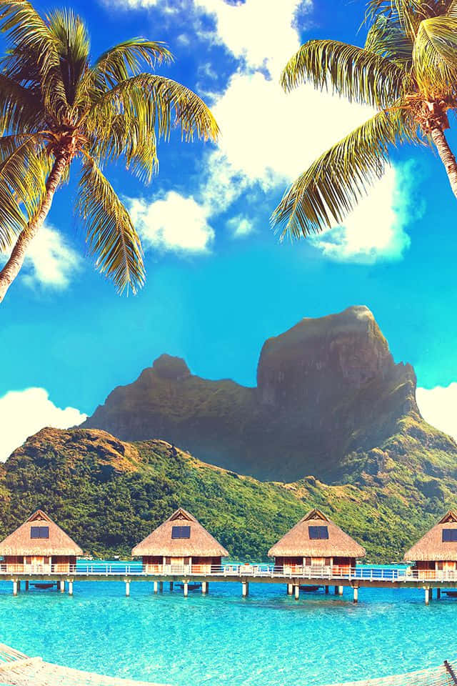 Bora Bora, overwater bungalows, thatched roofs, SD Phone Wallpaper