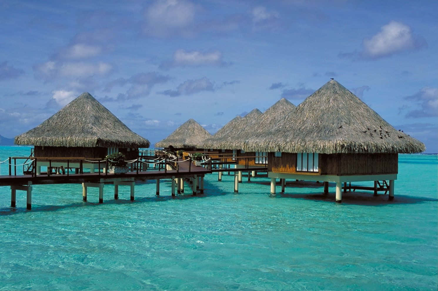 Bora Bora Beach, overwater bungalows, thatched roofs, HD Desktop Wallpaper