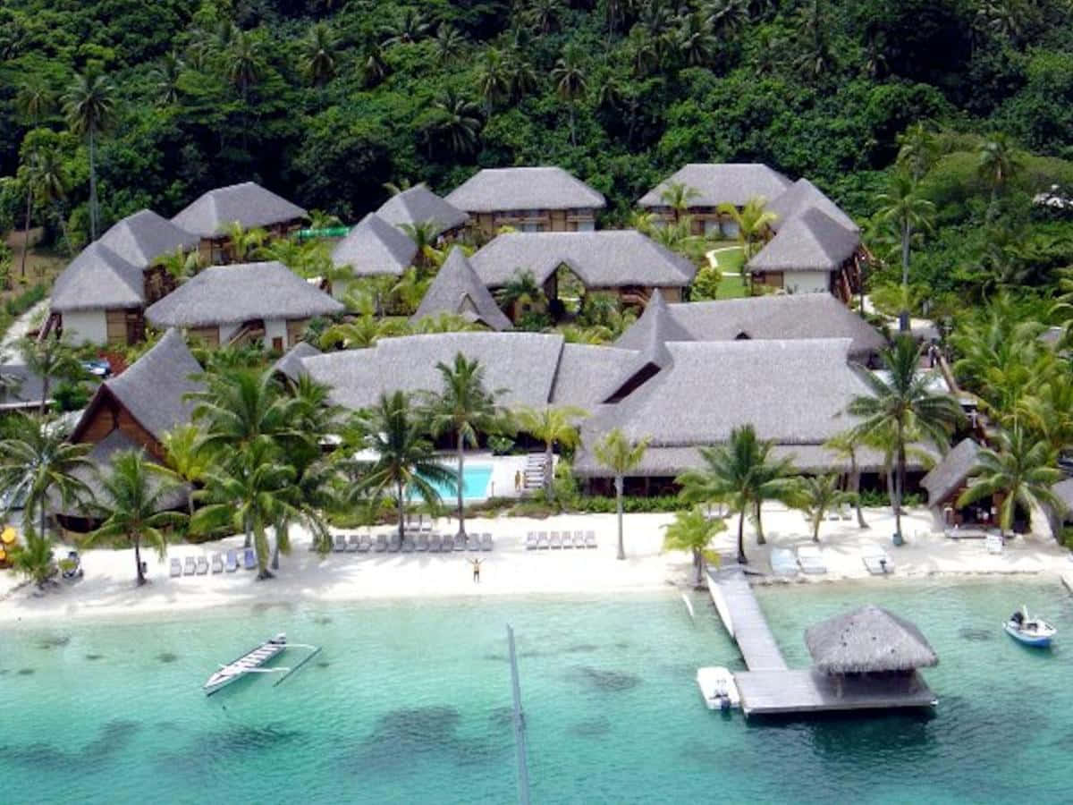 Bora Bora Beach, luxury overwater bungalows, palm trees, SD Desktop Wallpaper