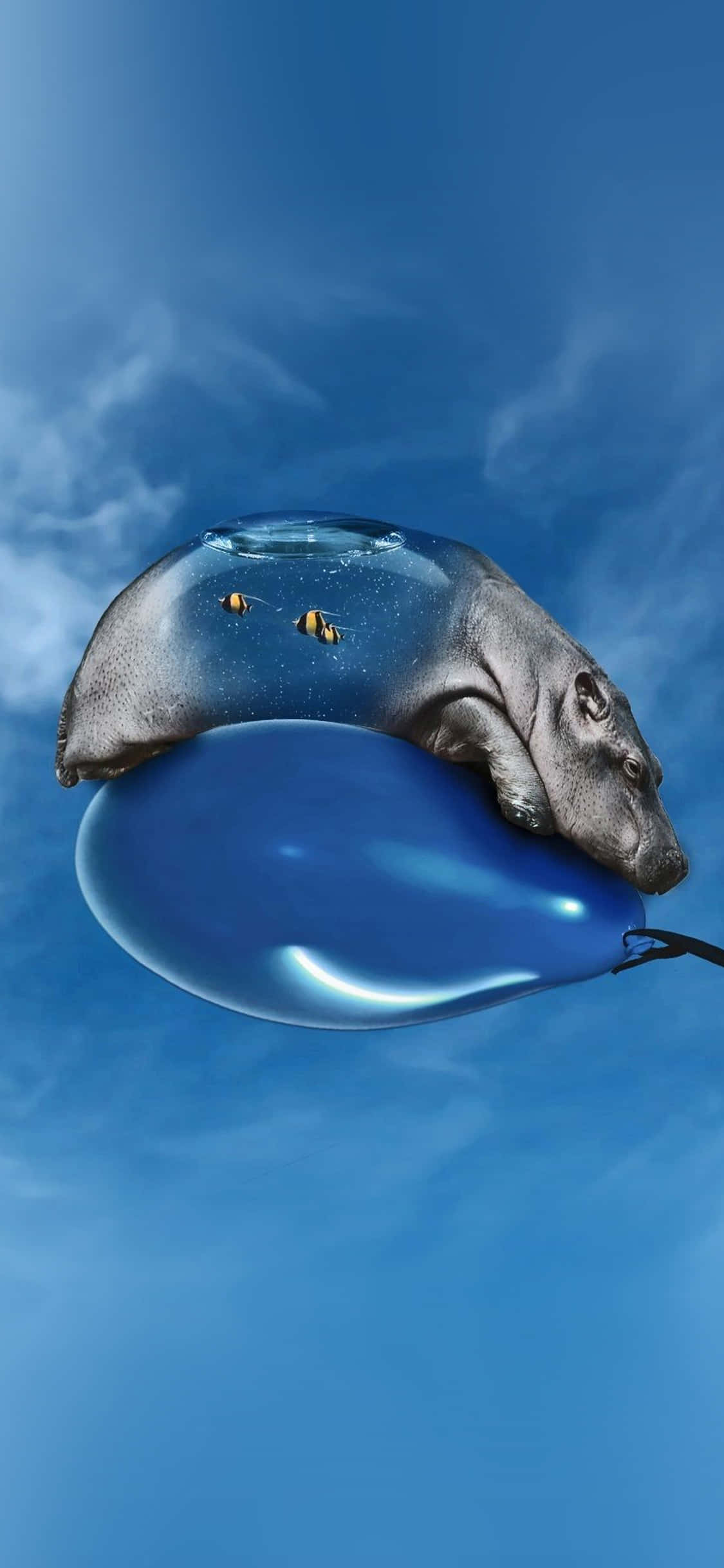 bored hippopotamus, giant blue balloon, clear blue sky, Full HD Phone Wallpaper
