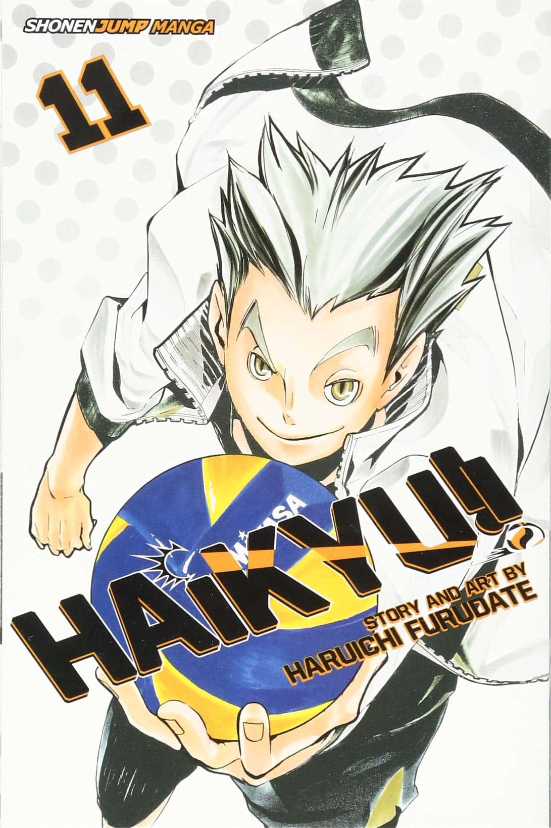 ktar bokuto, hakyuu vol 11, spiky white hair, HD Phone Wallpaper
