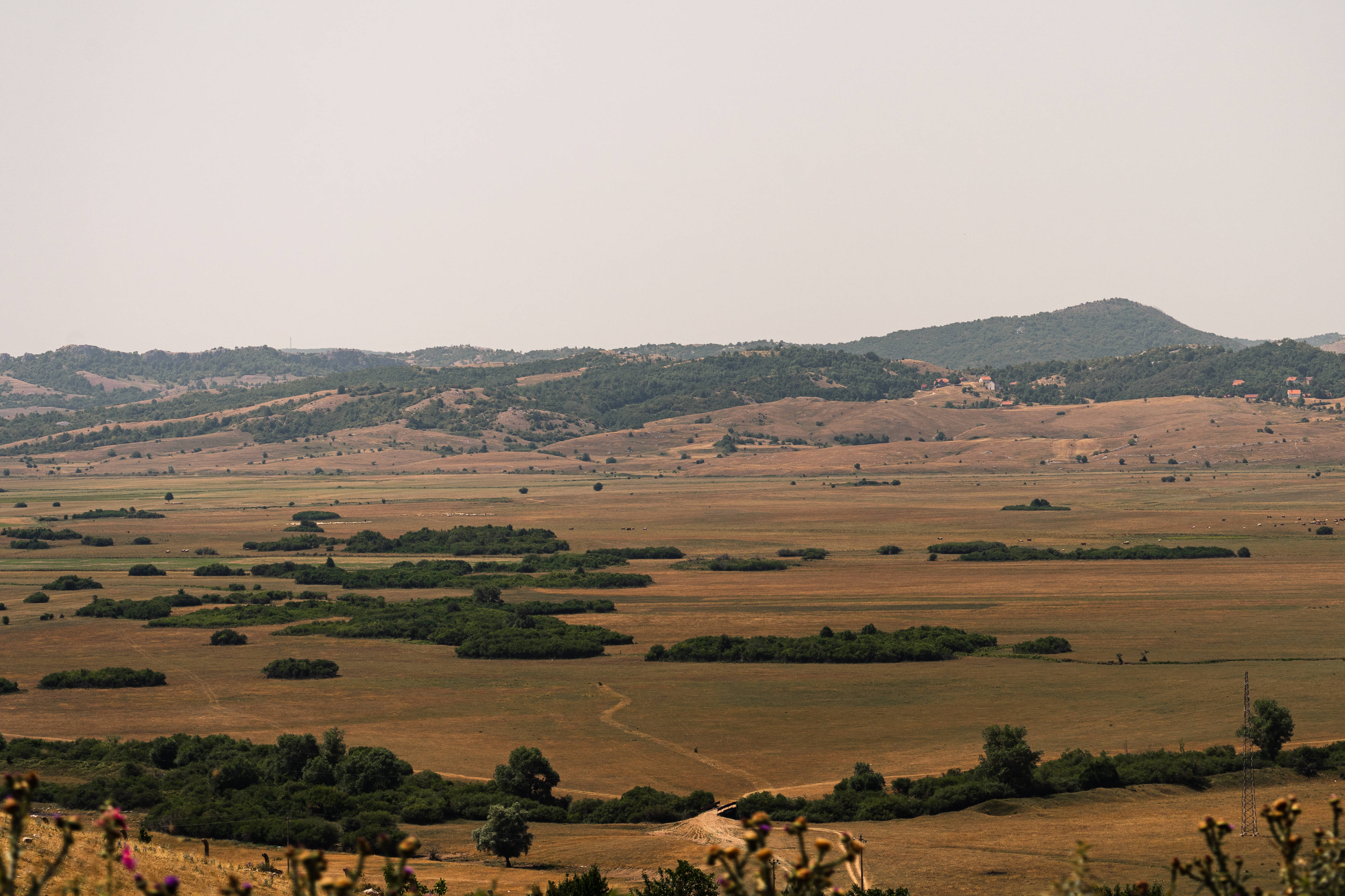 Bosnia And Herzegovina, grasslands, golden fields, 4K Desktop Wallpaper