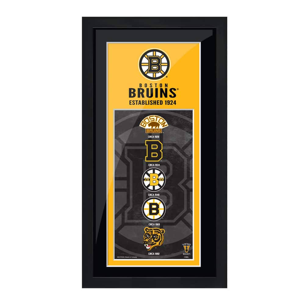 Boston Bruins, 1924, 1982, SD Desktop Wallpaper