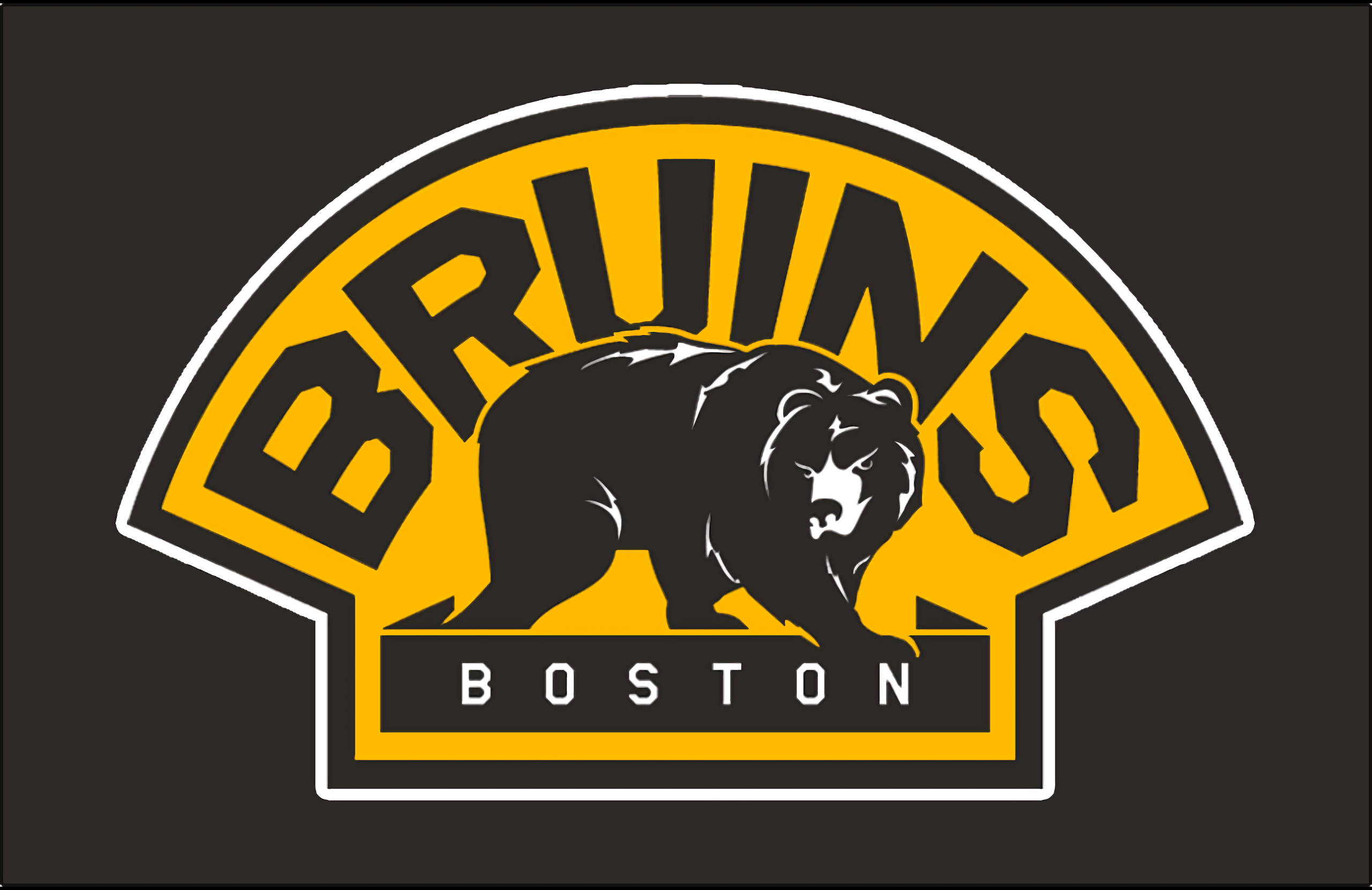 Boston Bruins, black bear, BRUINS, 2K Desktop Wallpaper