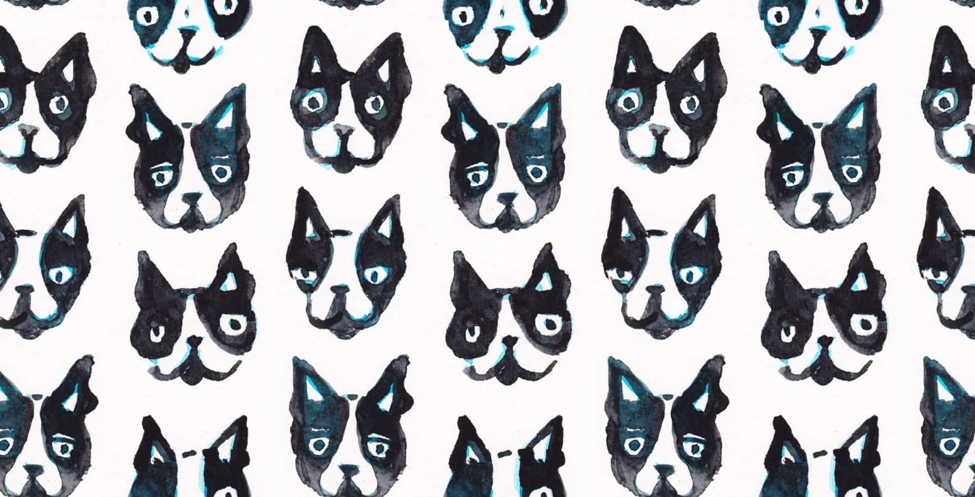 Boston Terrier, watercolor illustrations, black and teal accents, Full HD Desktop Wallpaper