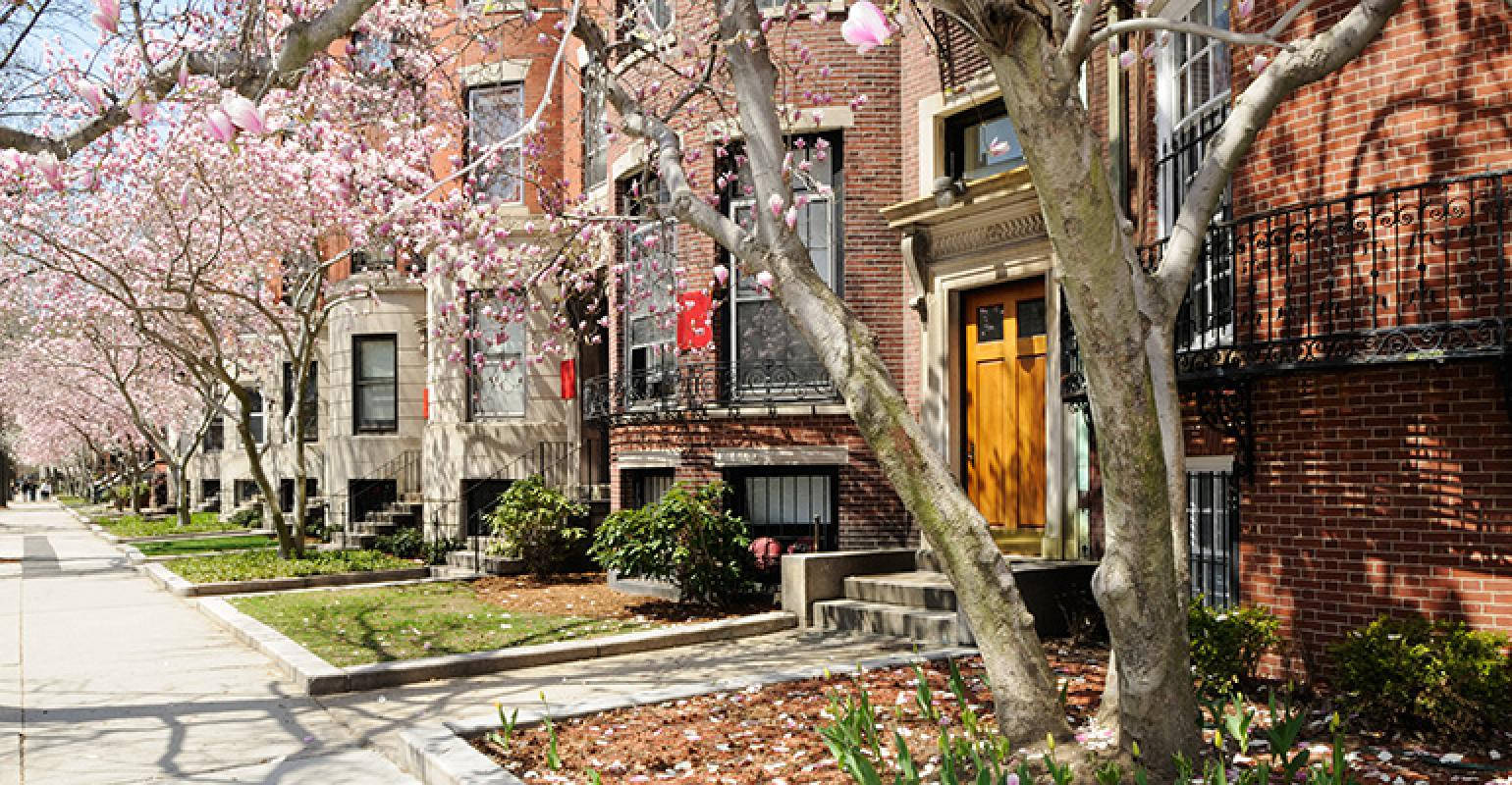 Boston University, brownstone dorms, brick townhouses, HD Desktop Wallpaper