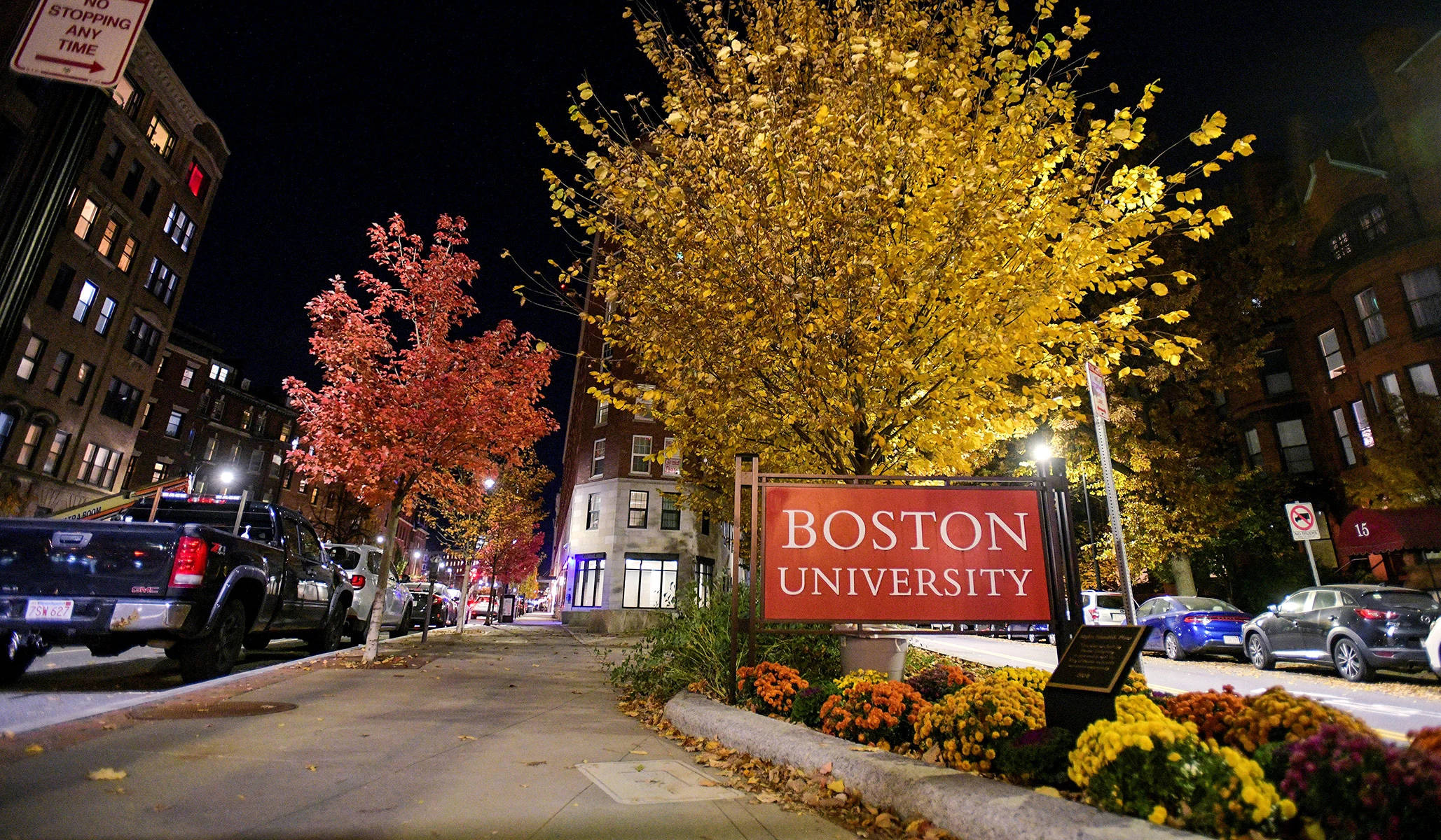 Boston University, night, autumn trees, Full HD Desktop Wallpaper