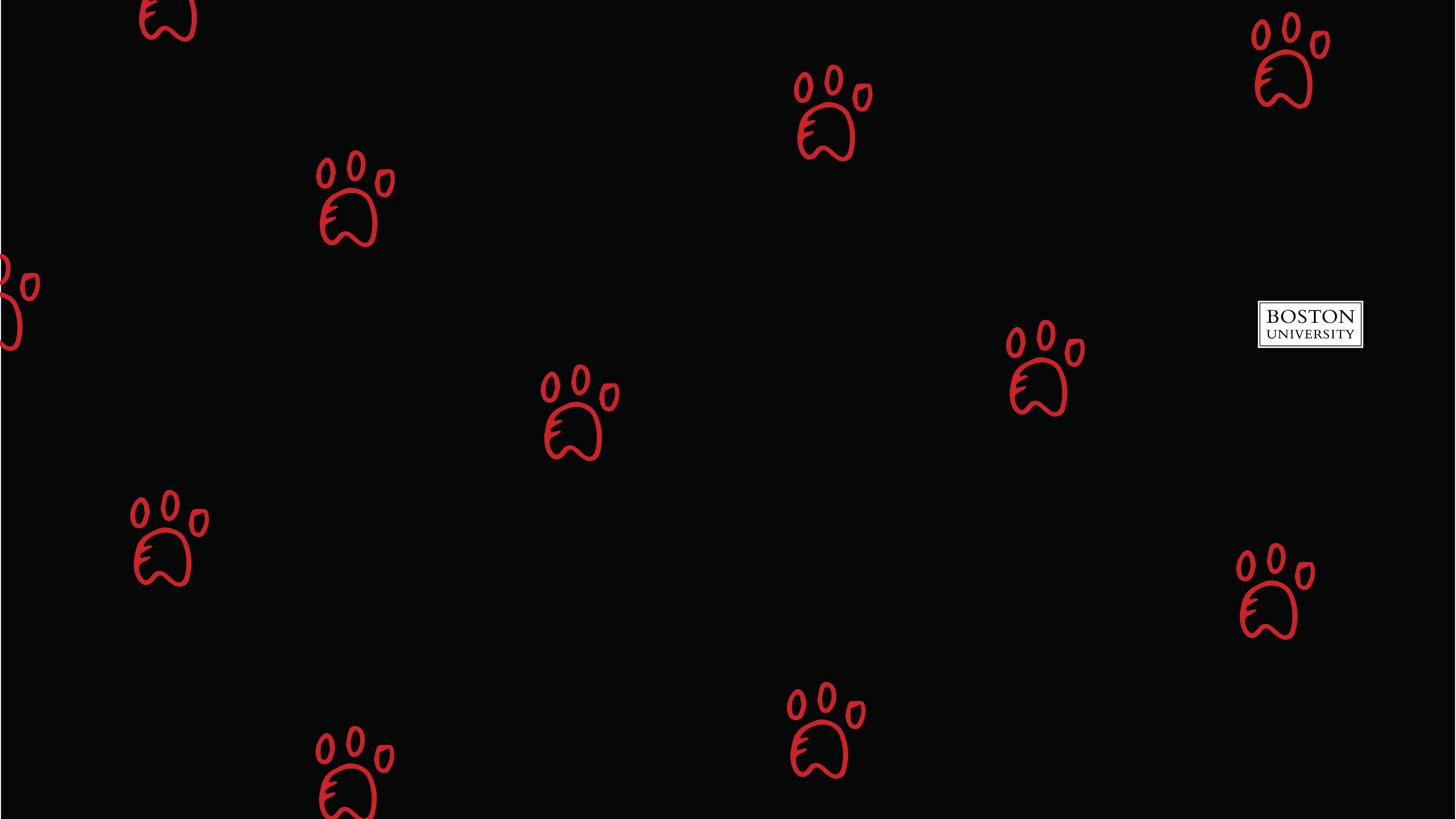 Boston University, red paw prints, black background, 8K Desktop Wallpaper