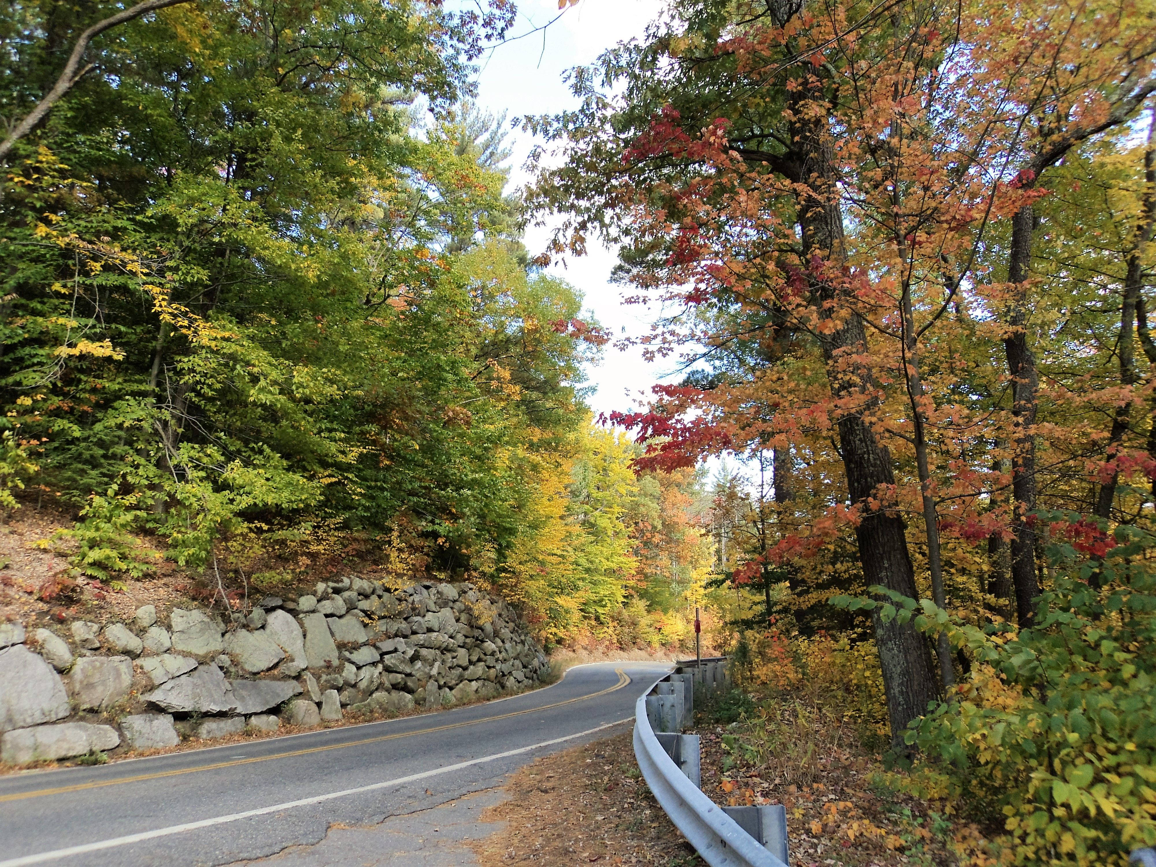 curvy highway, Boston, autumn colors, 4K Desktop Wallpaper