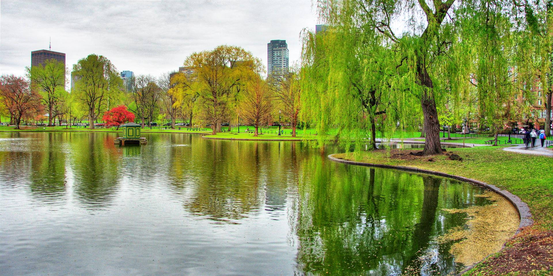 Boston Lake, city park pond, vibrant green trees, Full HD Desktop Wallpaper