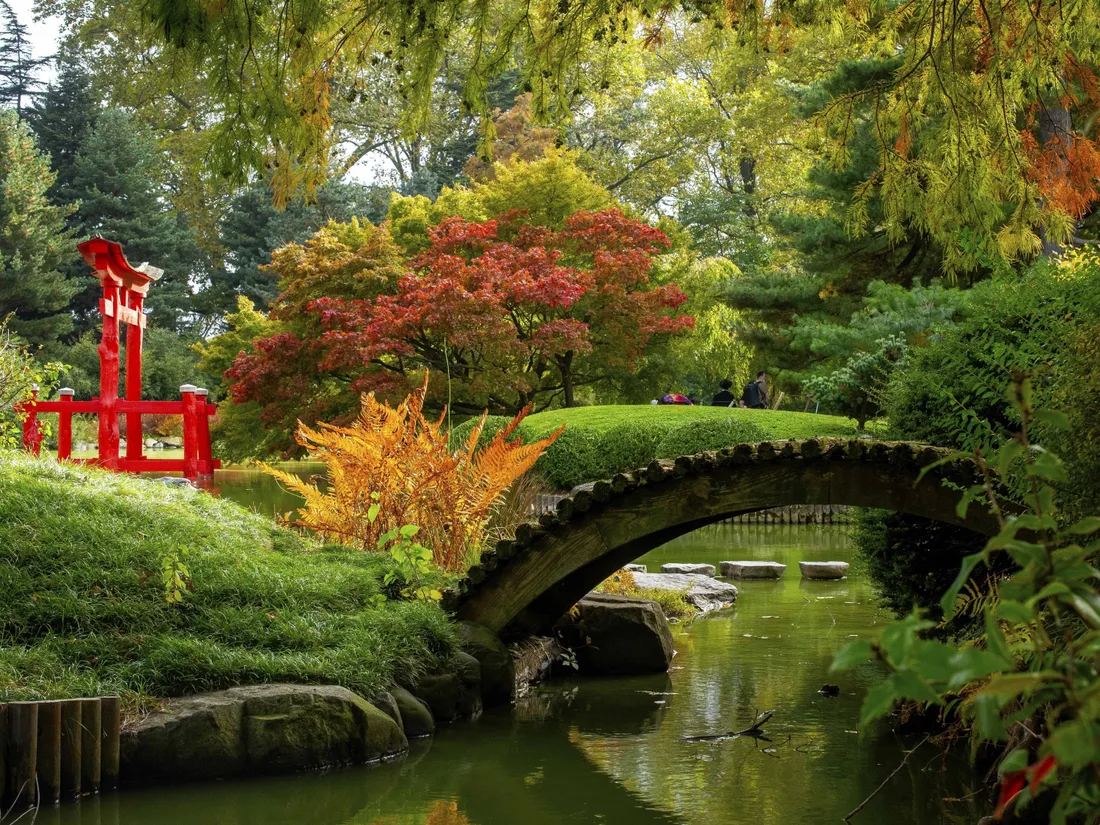 Botanical Garden