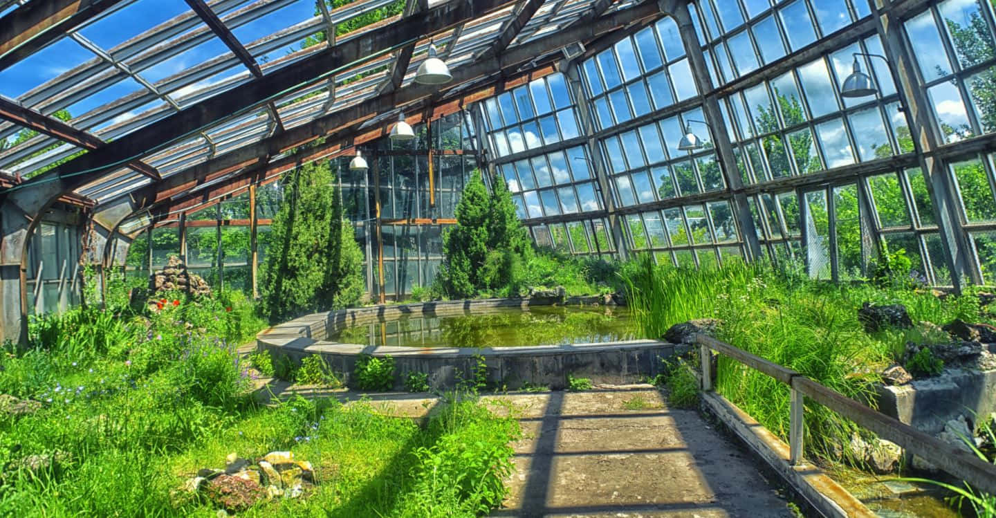 botanical garden, greenhouse roof, overgrown greenery, HD Desktop Wallpaper