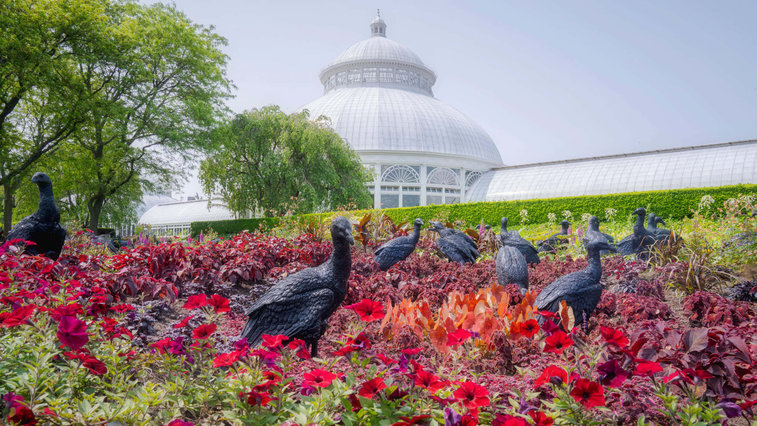 botanical garden, black bird sculptures, vibrant red and purple flowers, 2K Desktop Wallpaper