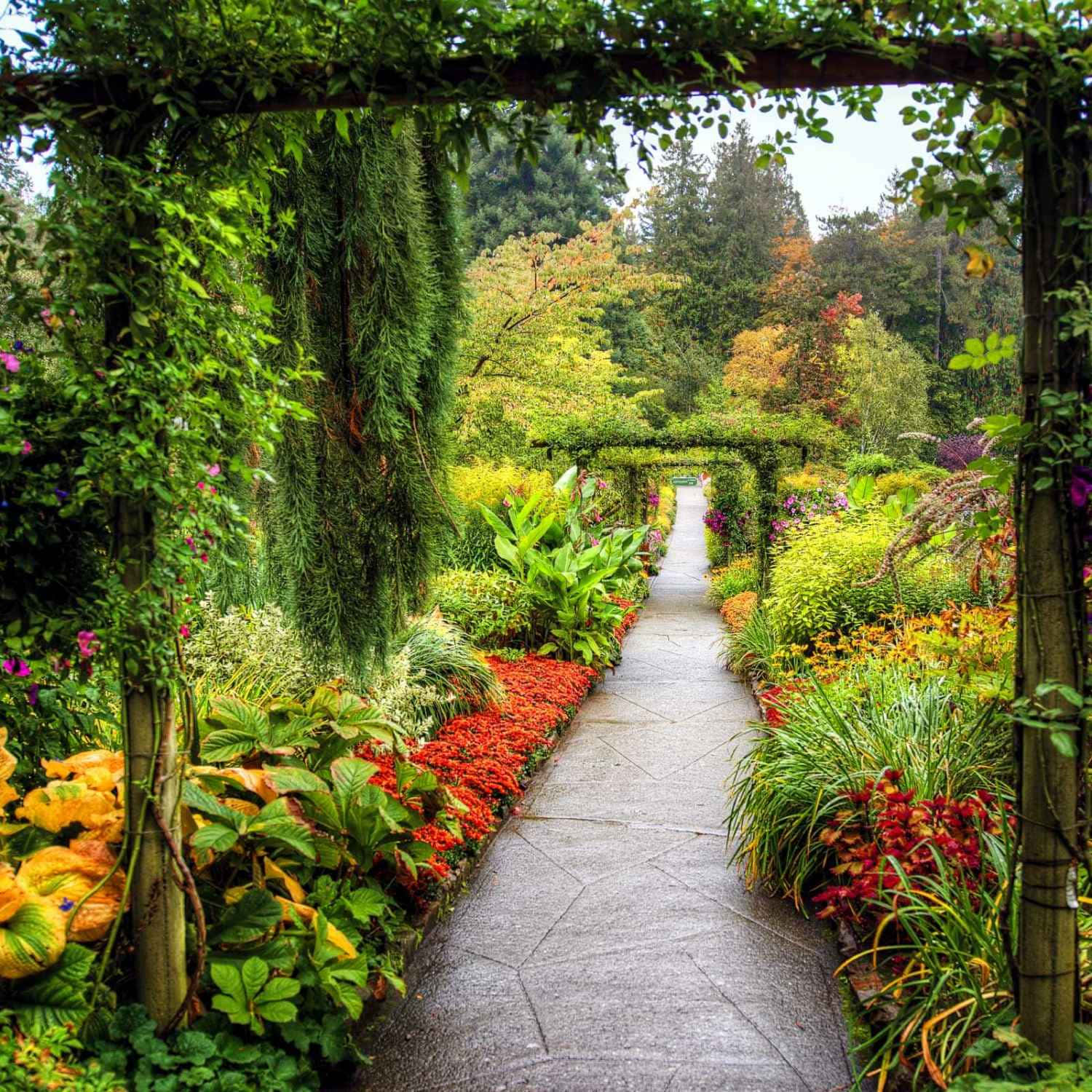 Botanical Garden, stone path, lush garden, HD Desktop Wallpaper