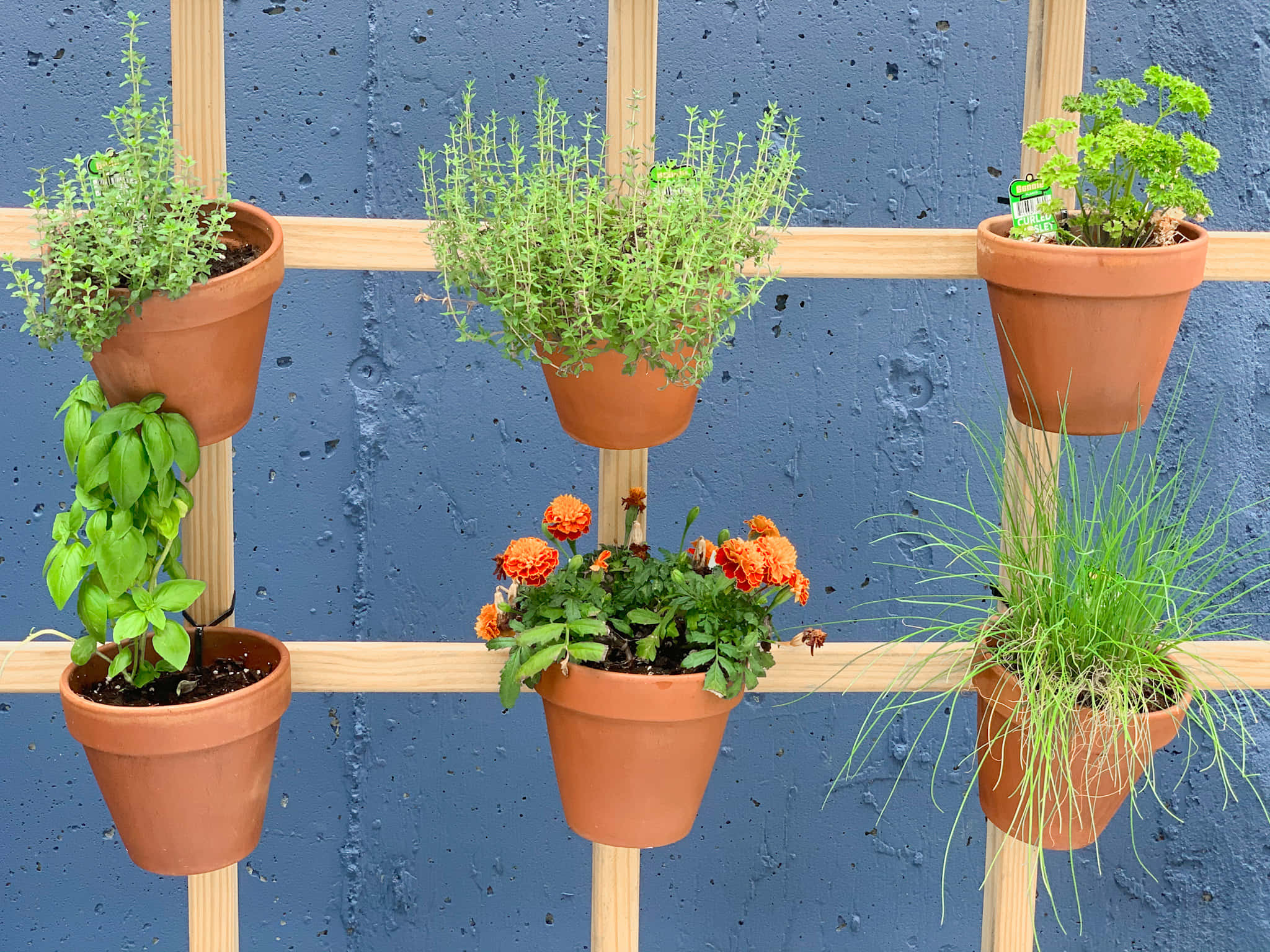 herb garden, terracotta pots, herbs, Full HD Desktop Wallpaper