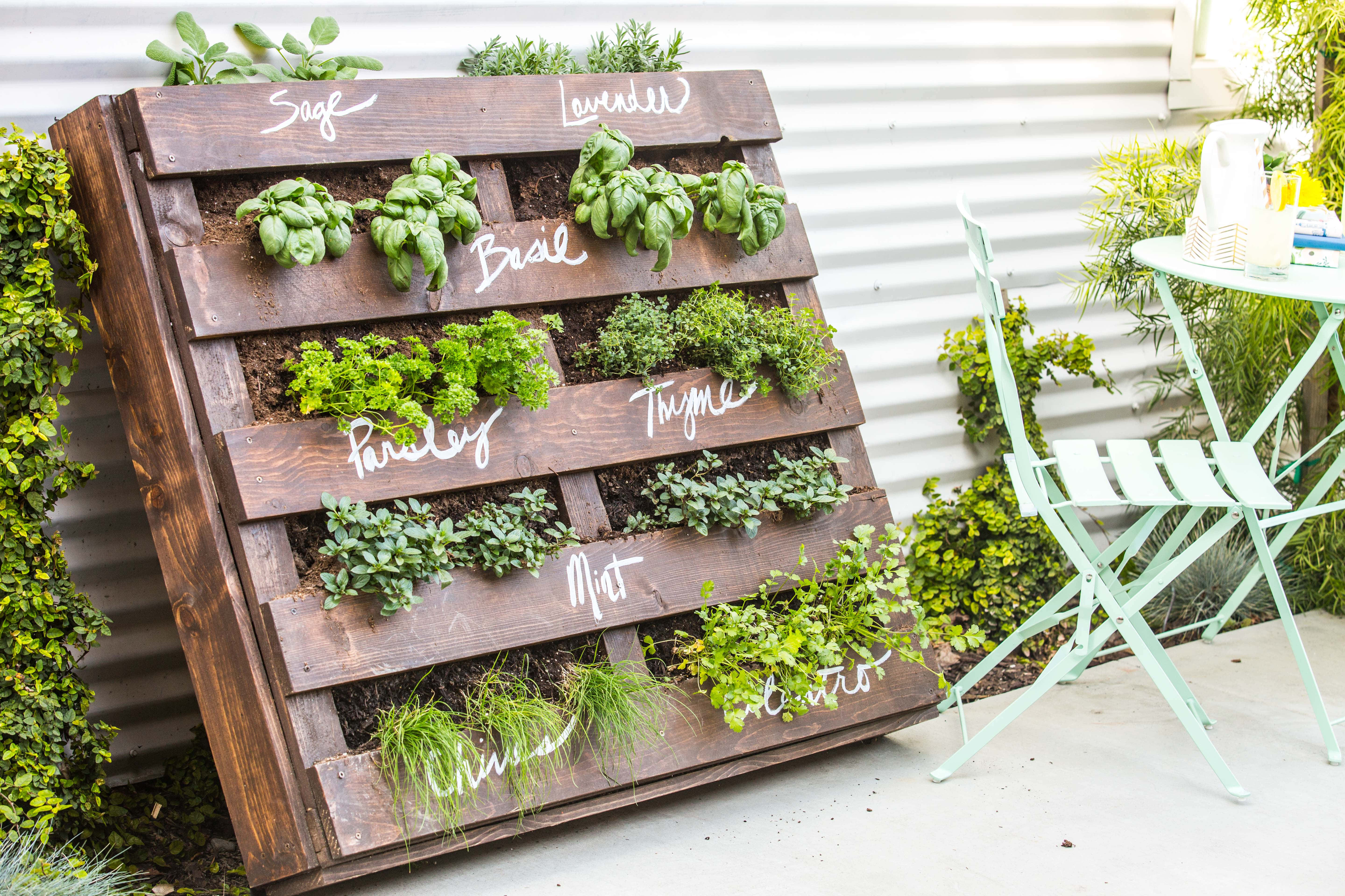 herb garden, rustic wooden pallet garden wall, labeled herbs like sage basil and thyme, 5K Desktop Wallpaper