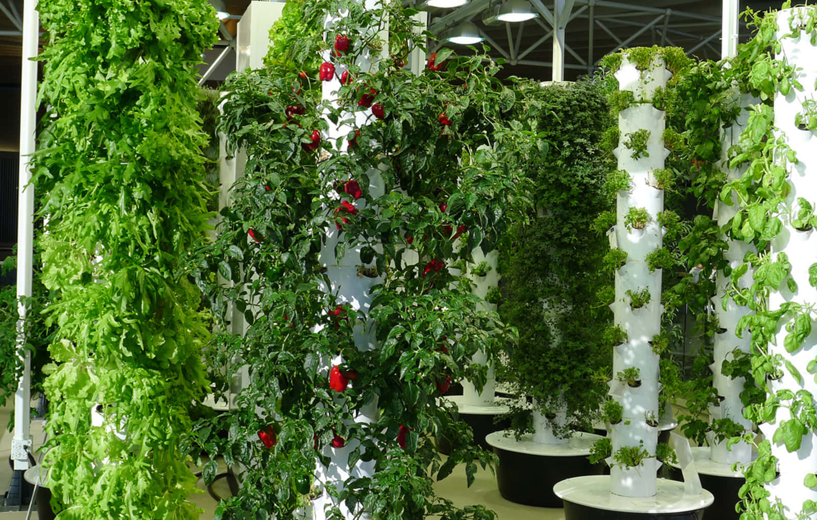herb garden, vertical garden towers, lush green plants, HD Desktop Wallpaper