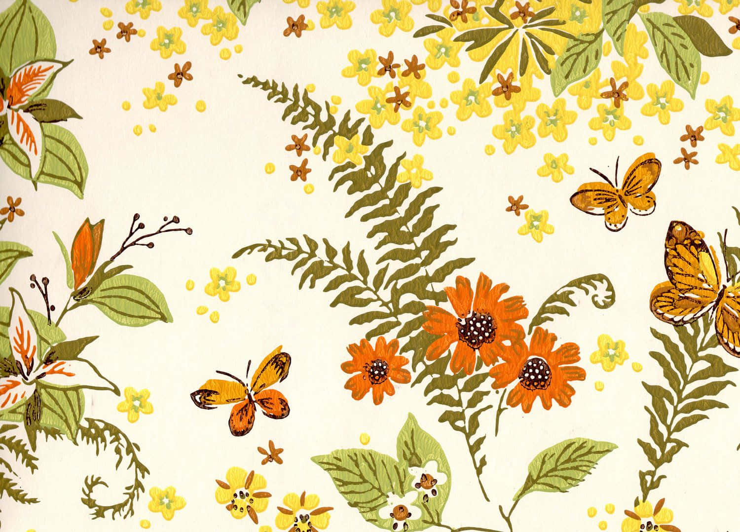 botanical, orange flowers, green ferns, HD Desktop Wallpaper