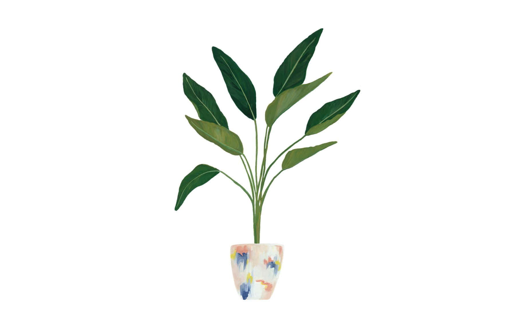 green botanical plant, watercolor-style, broad green leaves, HD Desktop Wallpaper