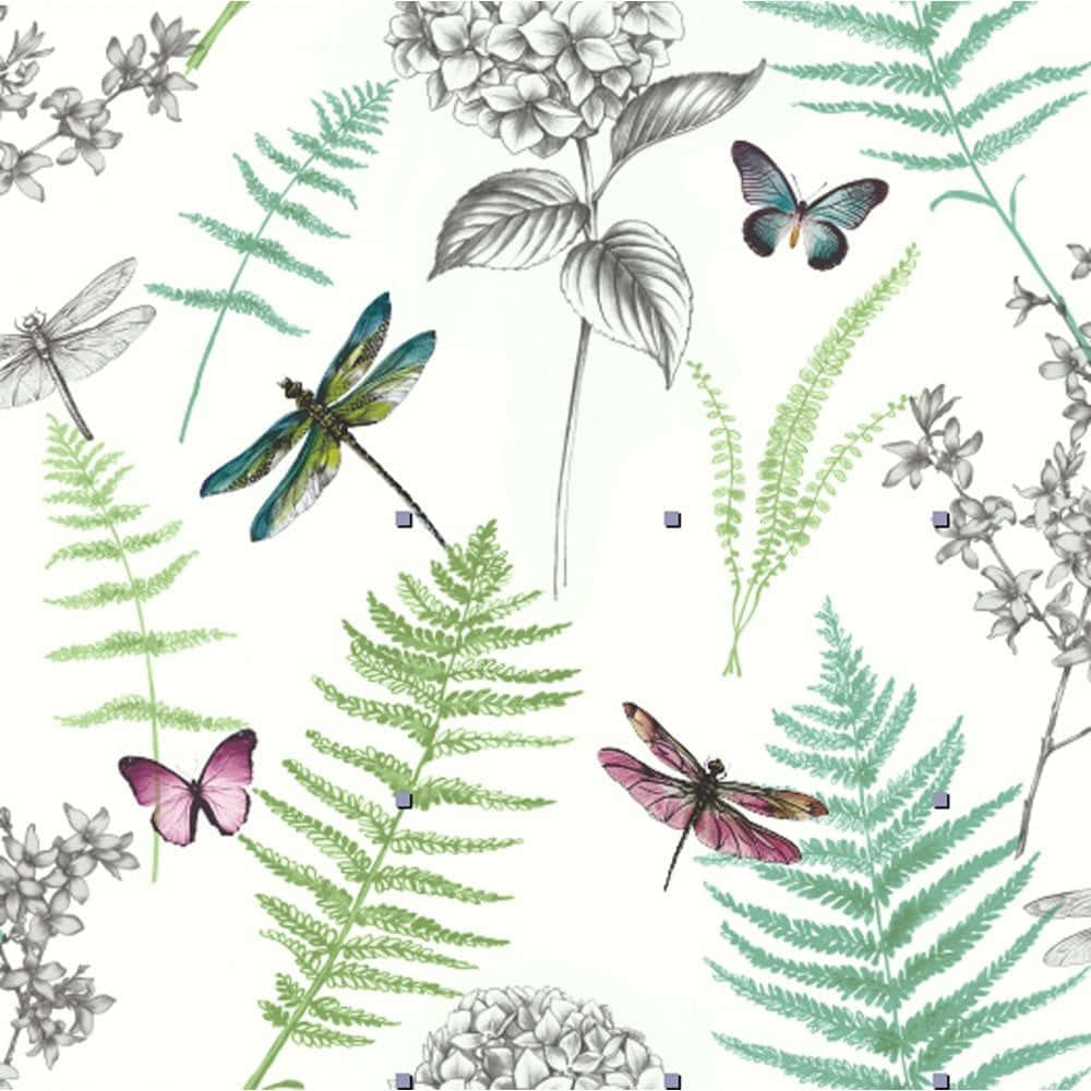 lotus flower, dragonflies, butterflies, SD Desktop Wallpaper