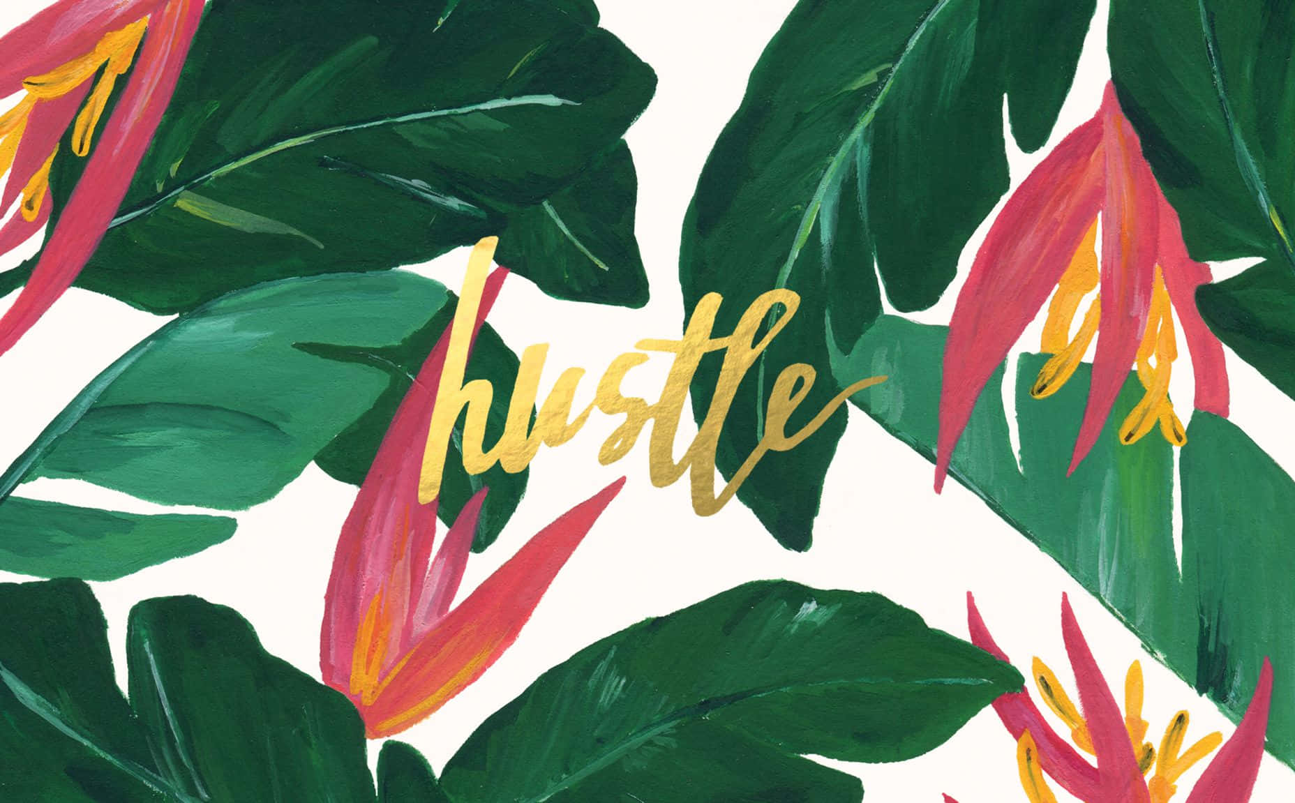 bird of paradise, golden script, hustle, HD Desktop Wallpaper