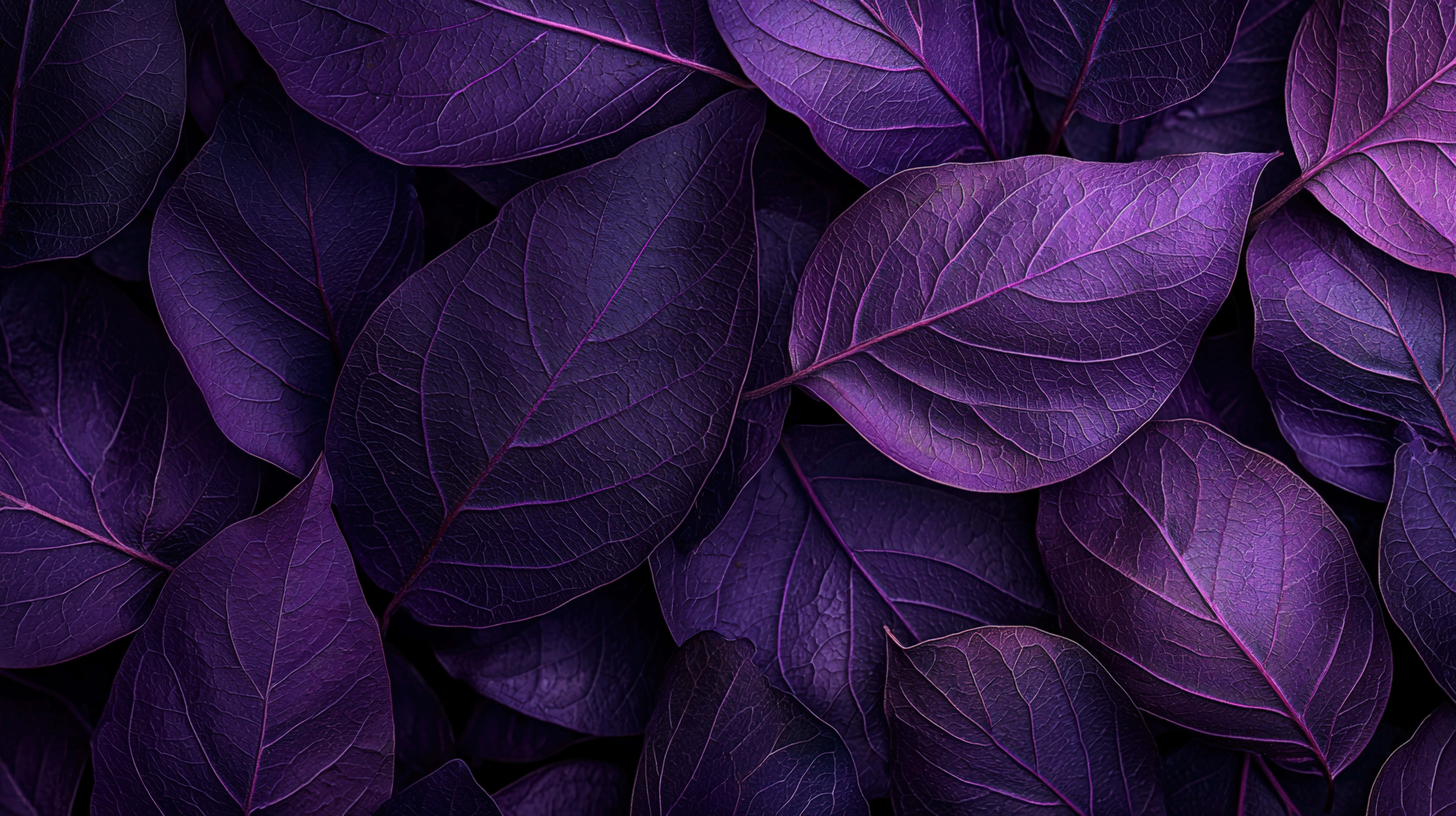 rich purple leaves, intricate veins, textured pattern, 8K Desktop Wallpaper