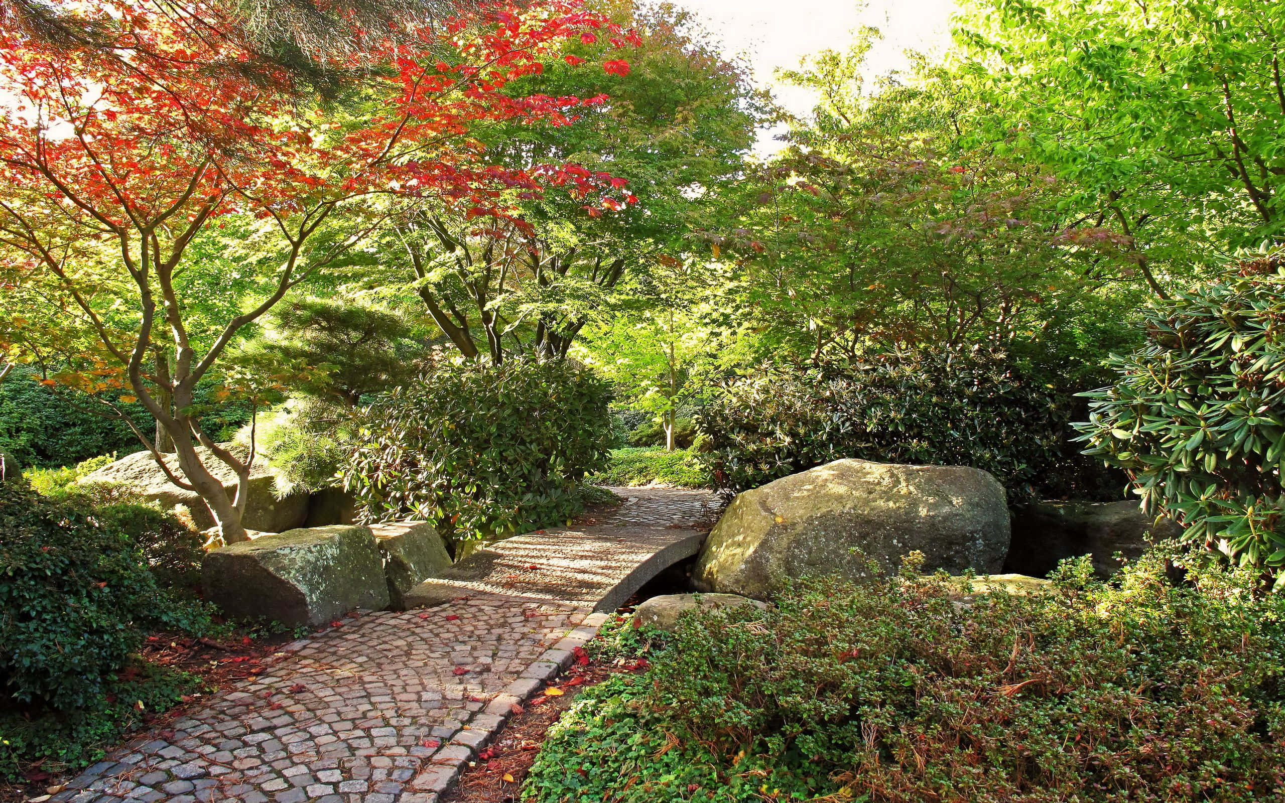 botanical, cobblestone path, lush garden, 2K Desktop Wallpaper