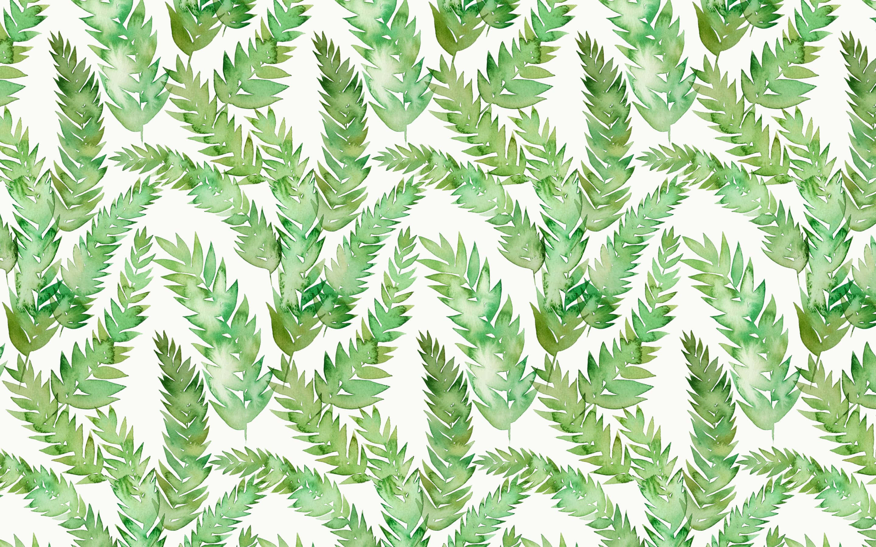 botanical, watercolor pattern, lush green ferns, 2K Desktop Wallpaper