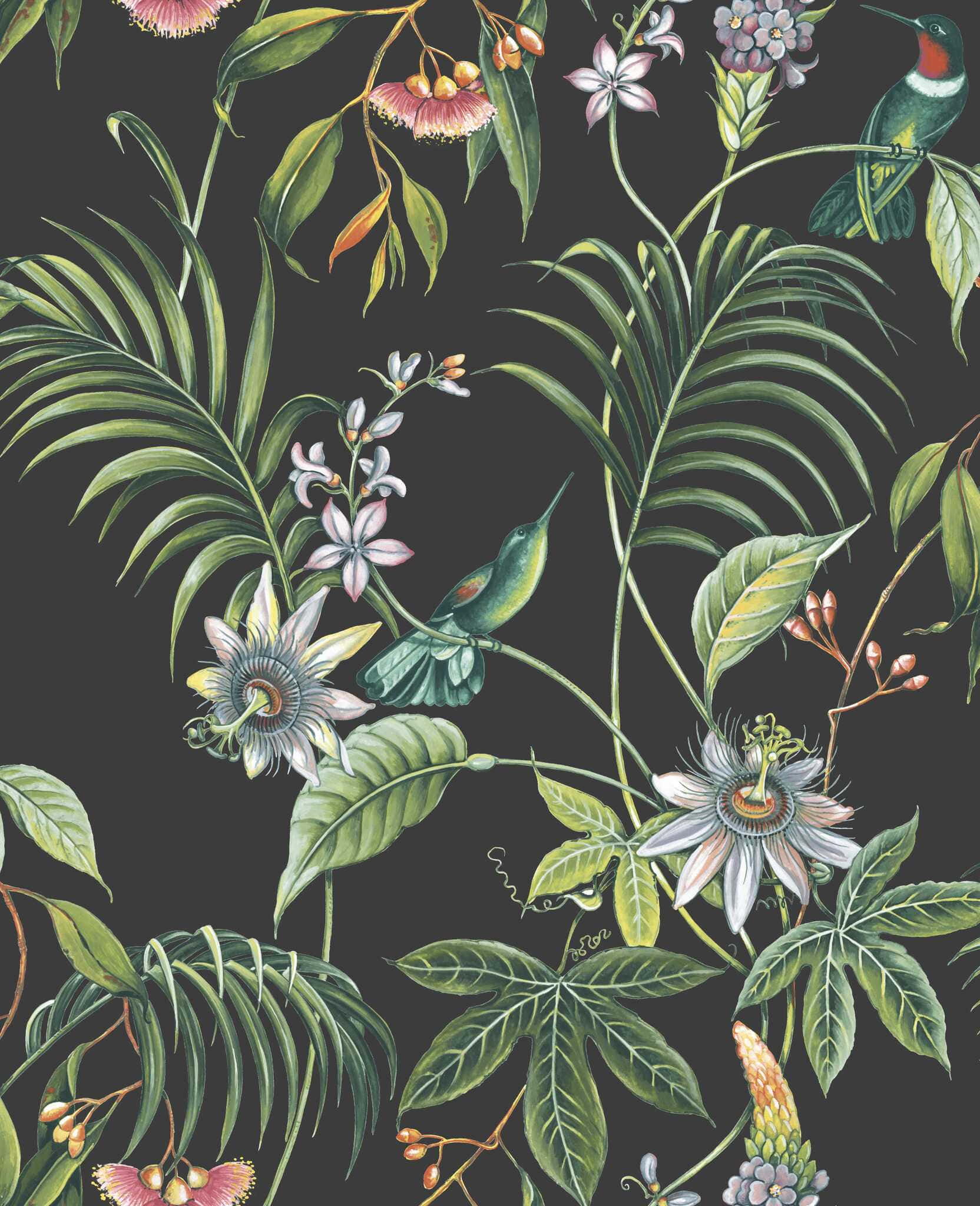 tropical flowers, hummingbirds, dark charcoal background, Full HD Phone Wallpaper