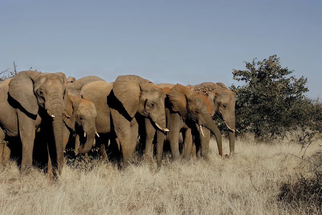 Botswana