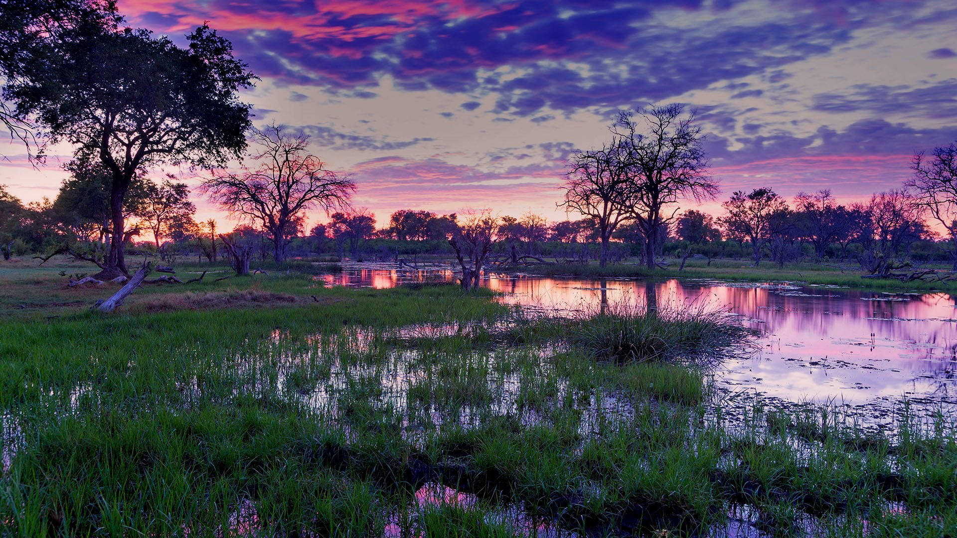 Botswana, marshland, pink skies, Full HD Desktop Wallpaper